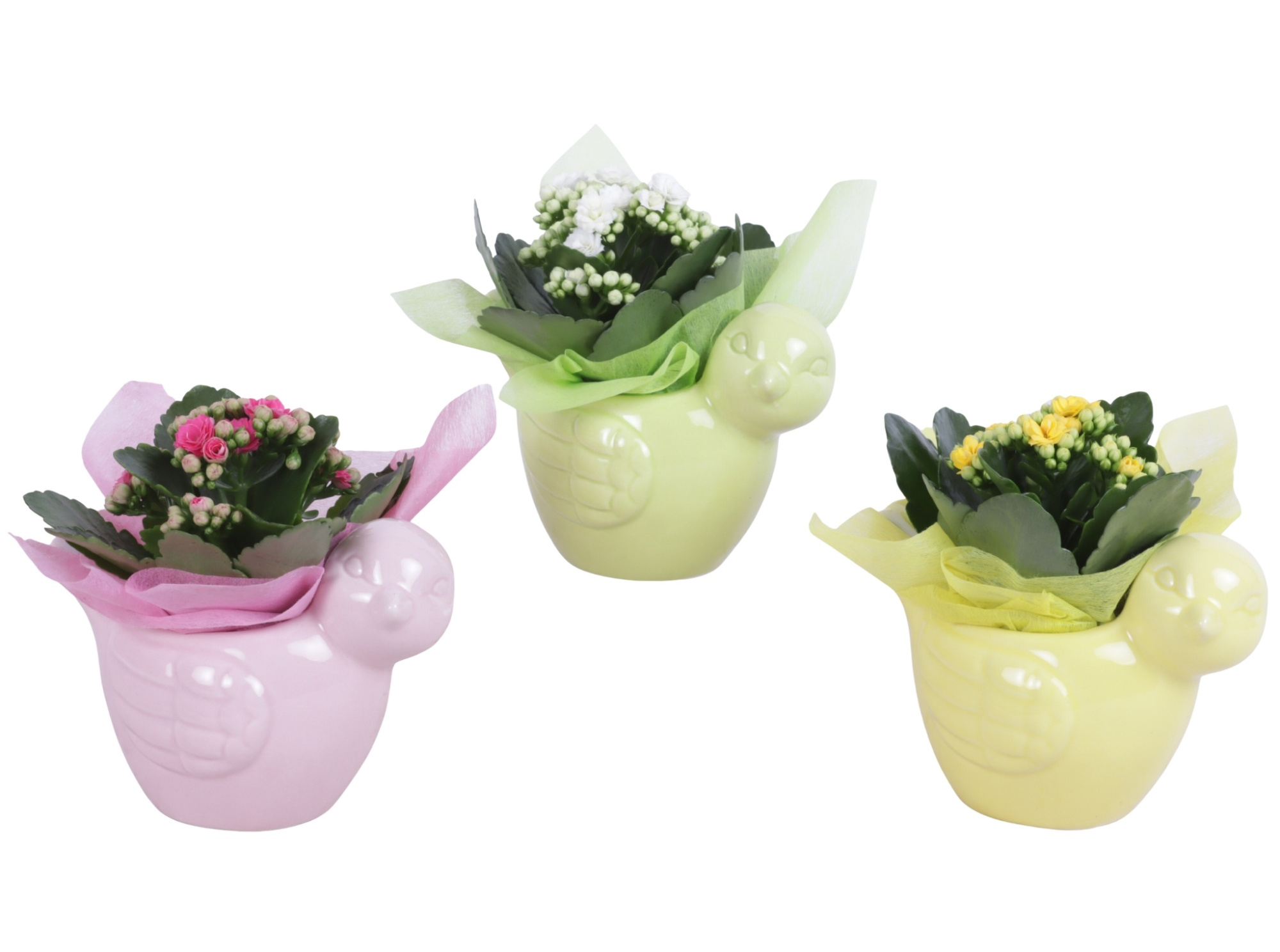 Early Spring Arr. Indoor Ceramic Bird Gr/Pi/Ye Ø16cm 1PP, D 16