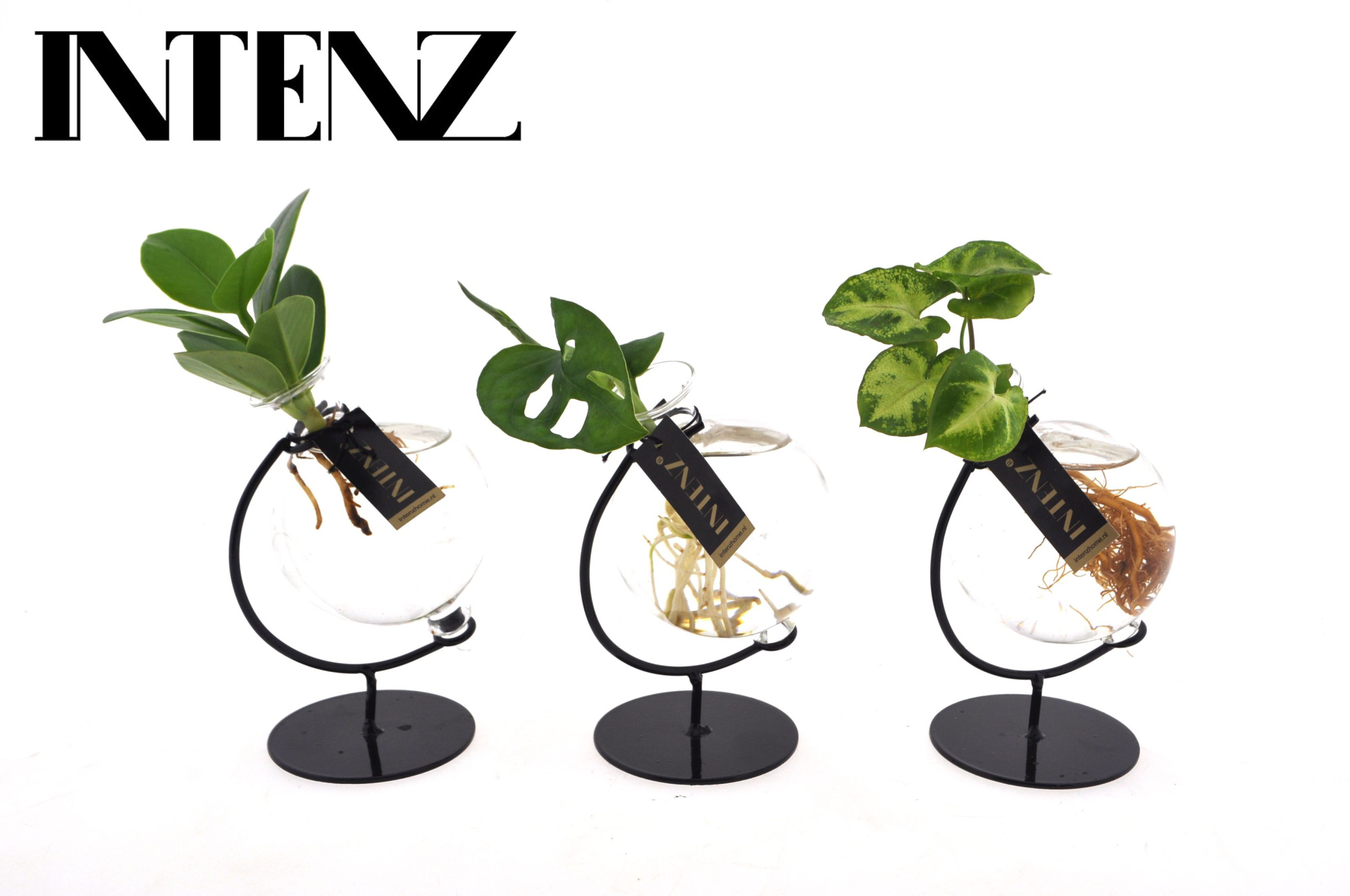 Mix in Victoria glas, D 5