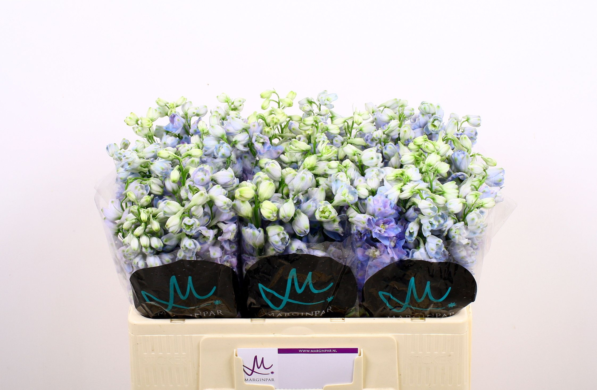 Дельфиниум дв. Гардиан Лавандер 50, шт.