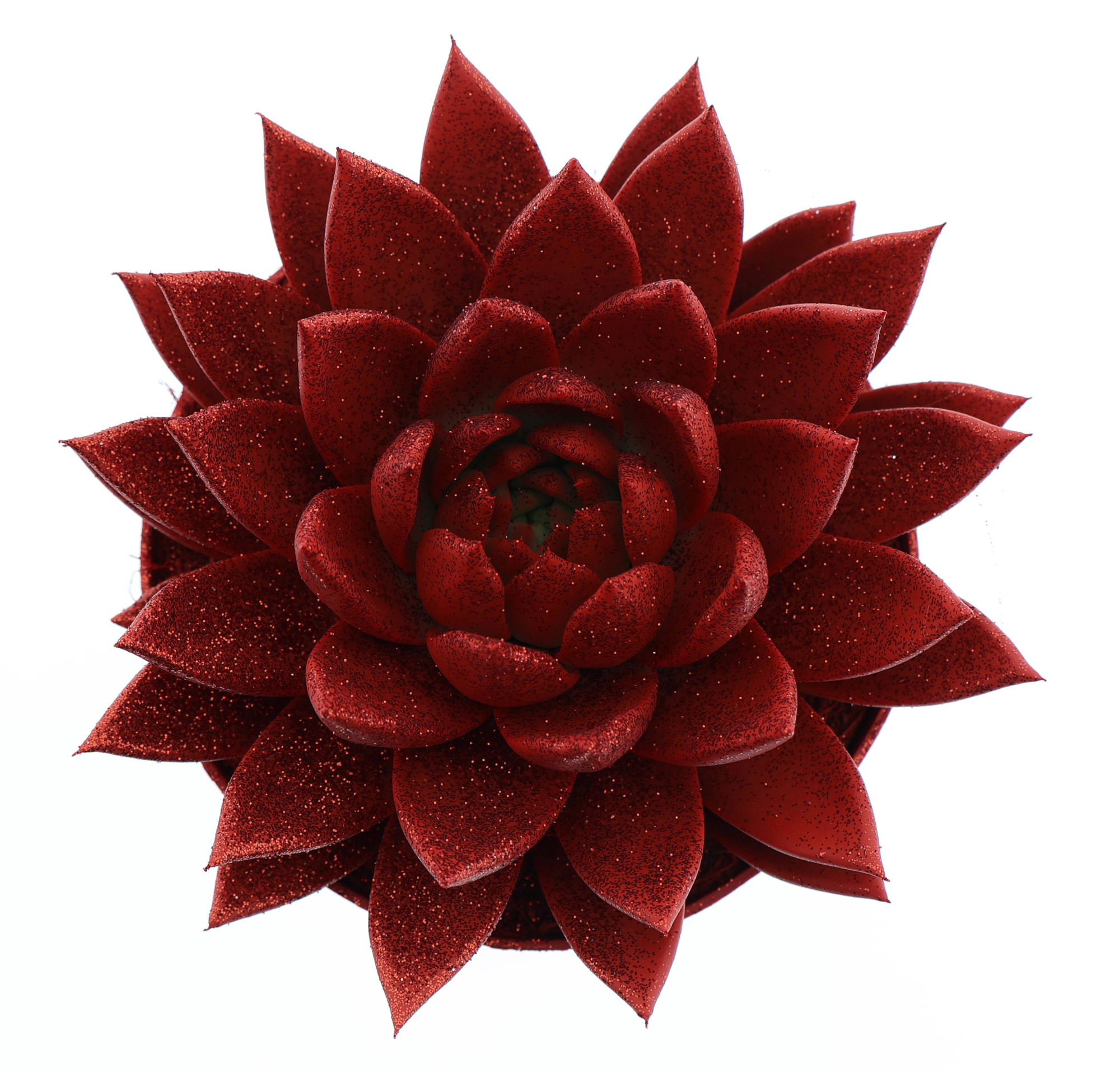 Miranda rood + glitter, D 17