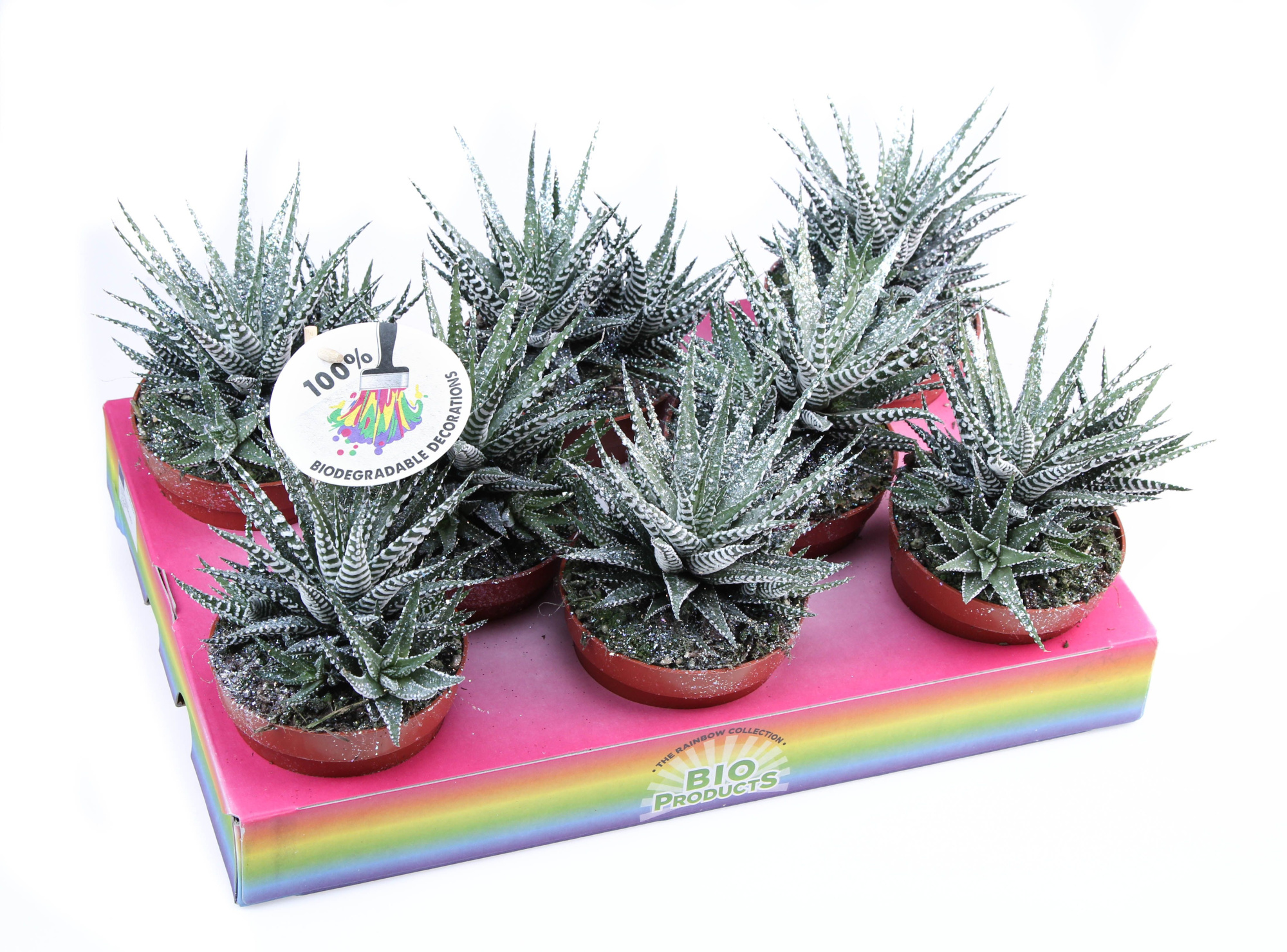 Big band + bioglitter, D 10,5