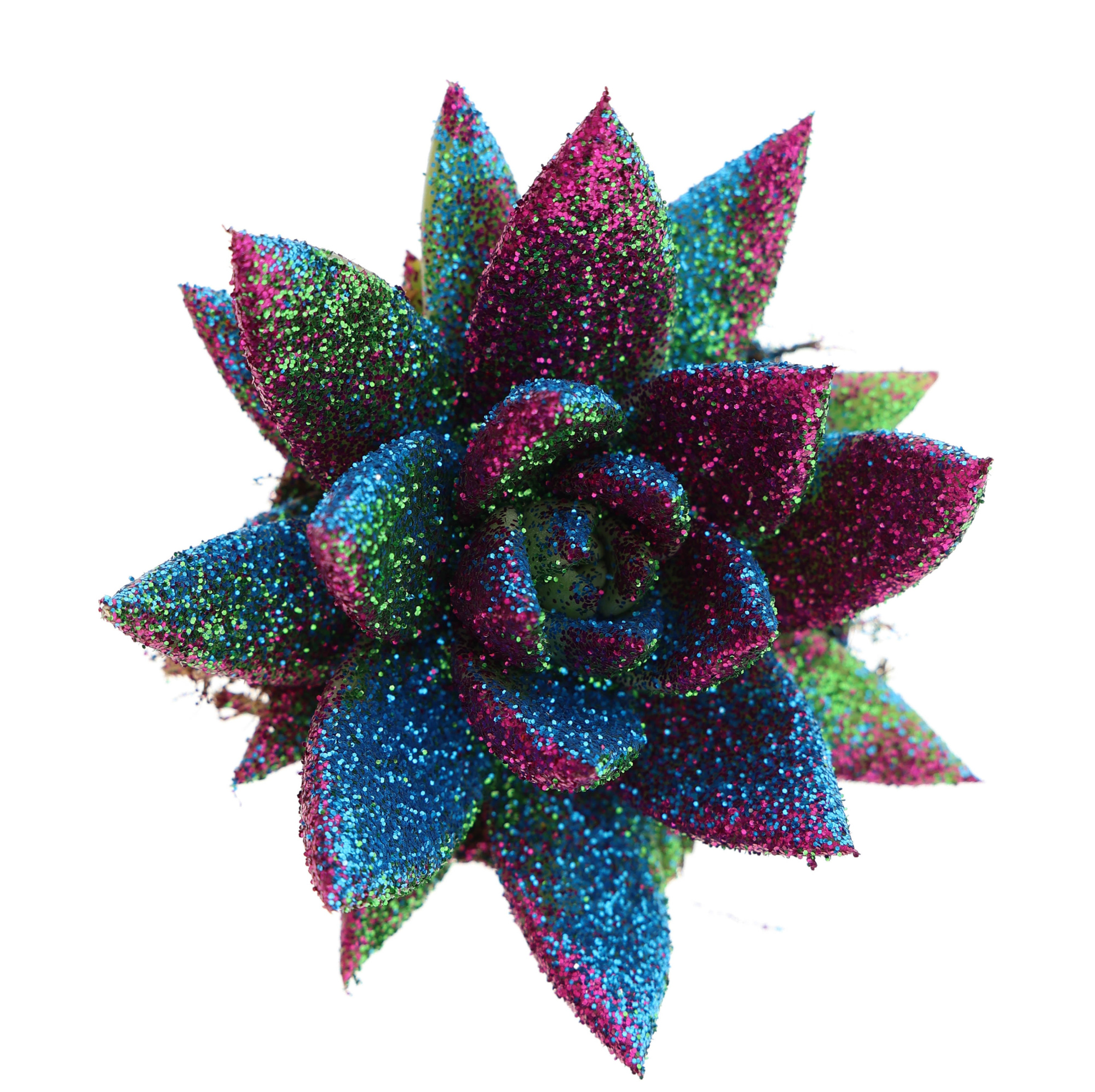 Miranda disco glitter, D 6