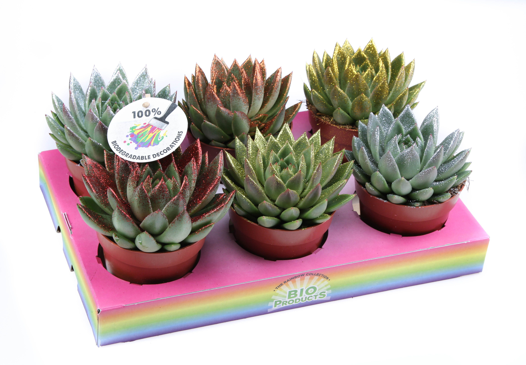 Bio miranda naturel glitter mix, D 12