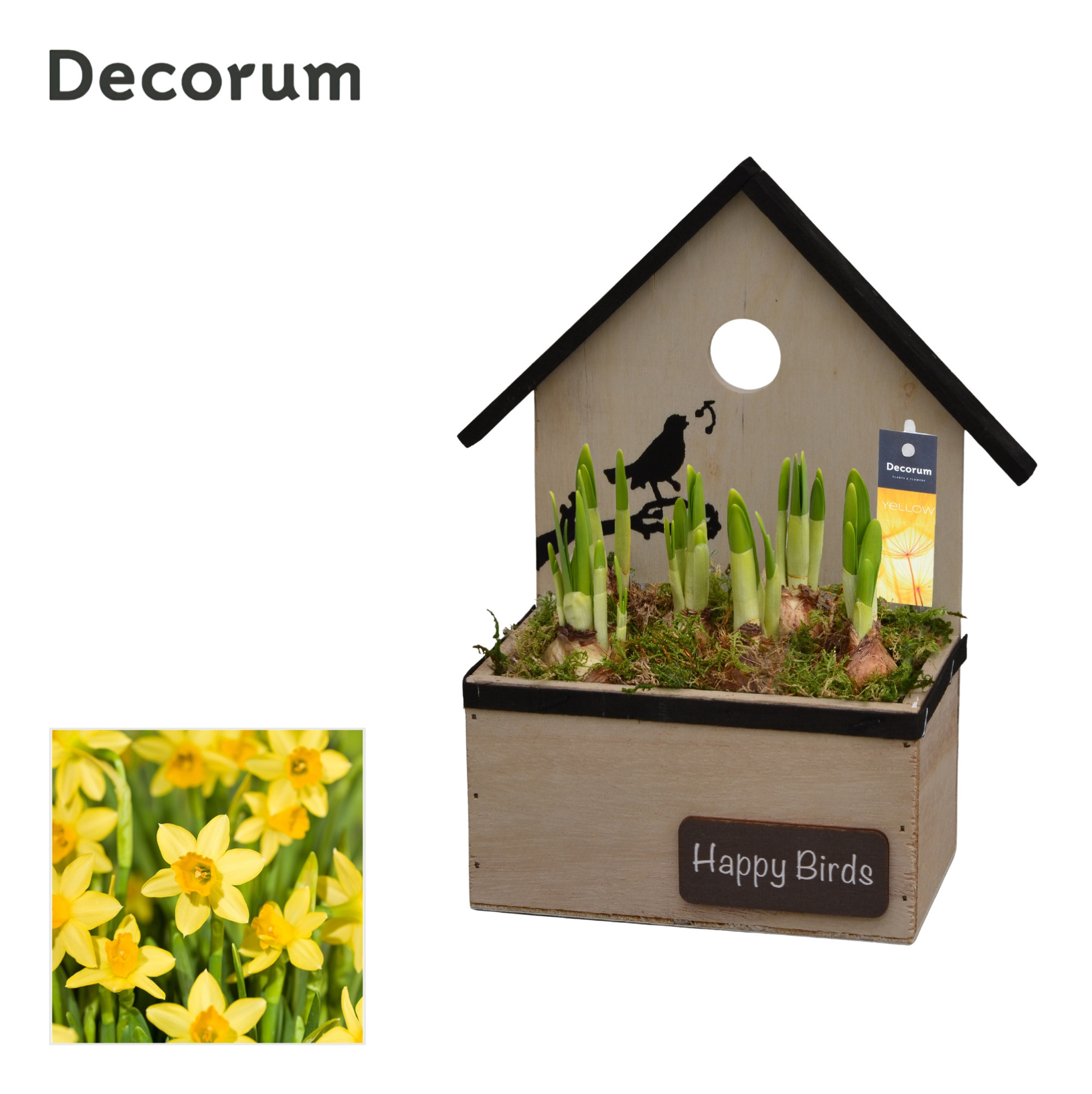 Narcis Birdhouse HL15733N, D 17