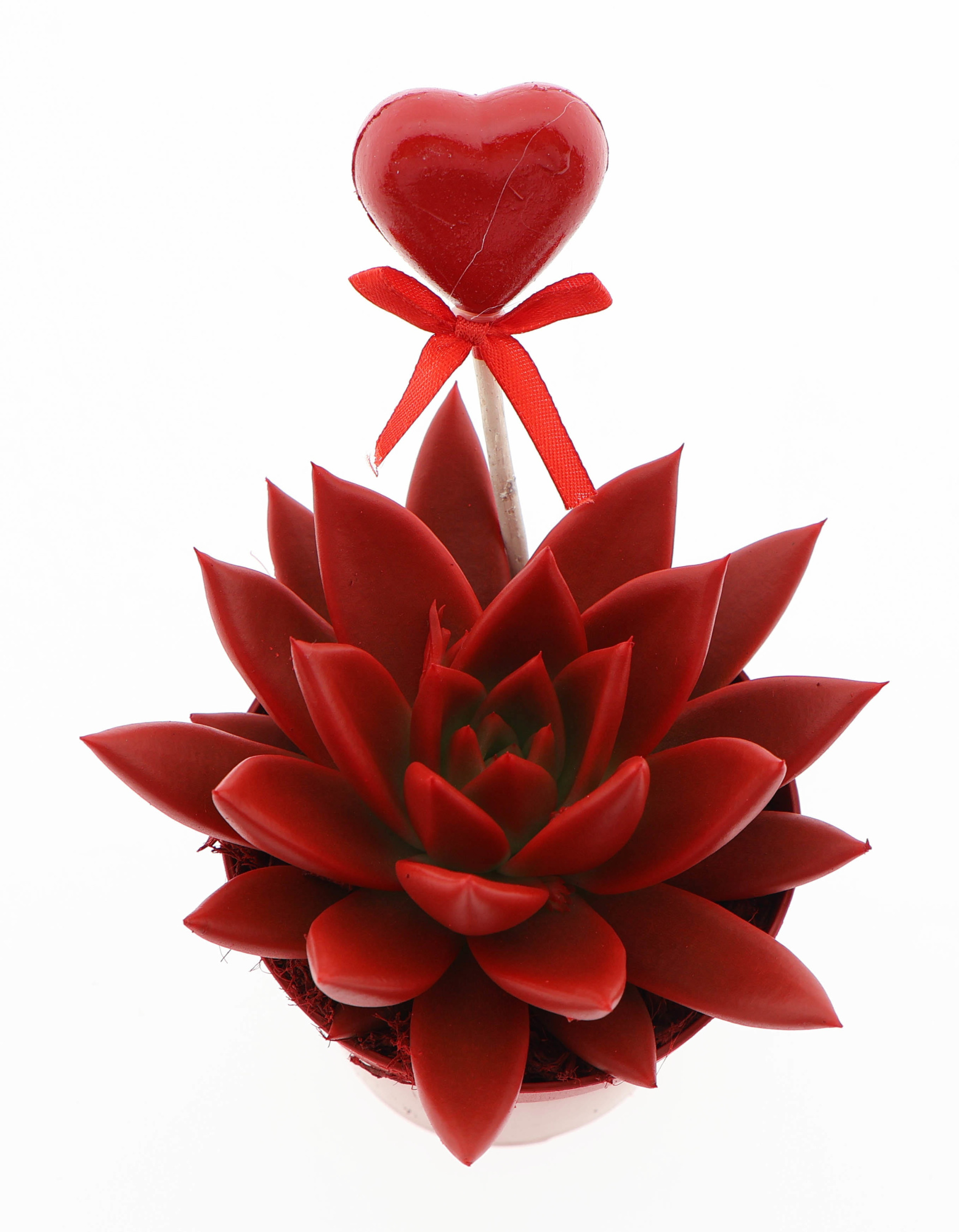 Miranda rood + hartje, D 8,5