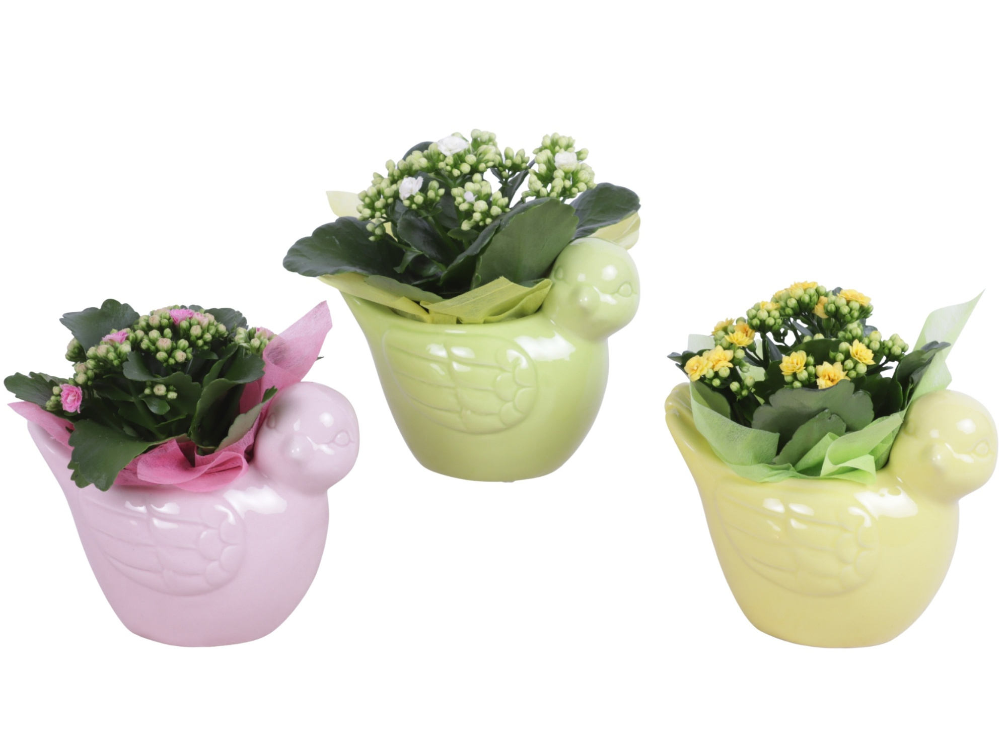 Early Spring Arr. Indoor Ceramic Bird Gr/Pi/Ye Ø18cm 1PP, D 18