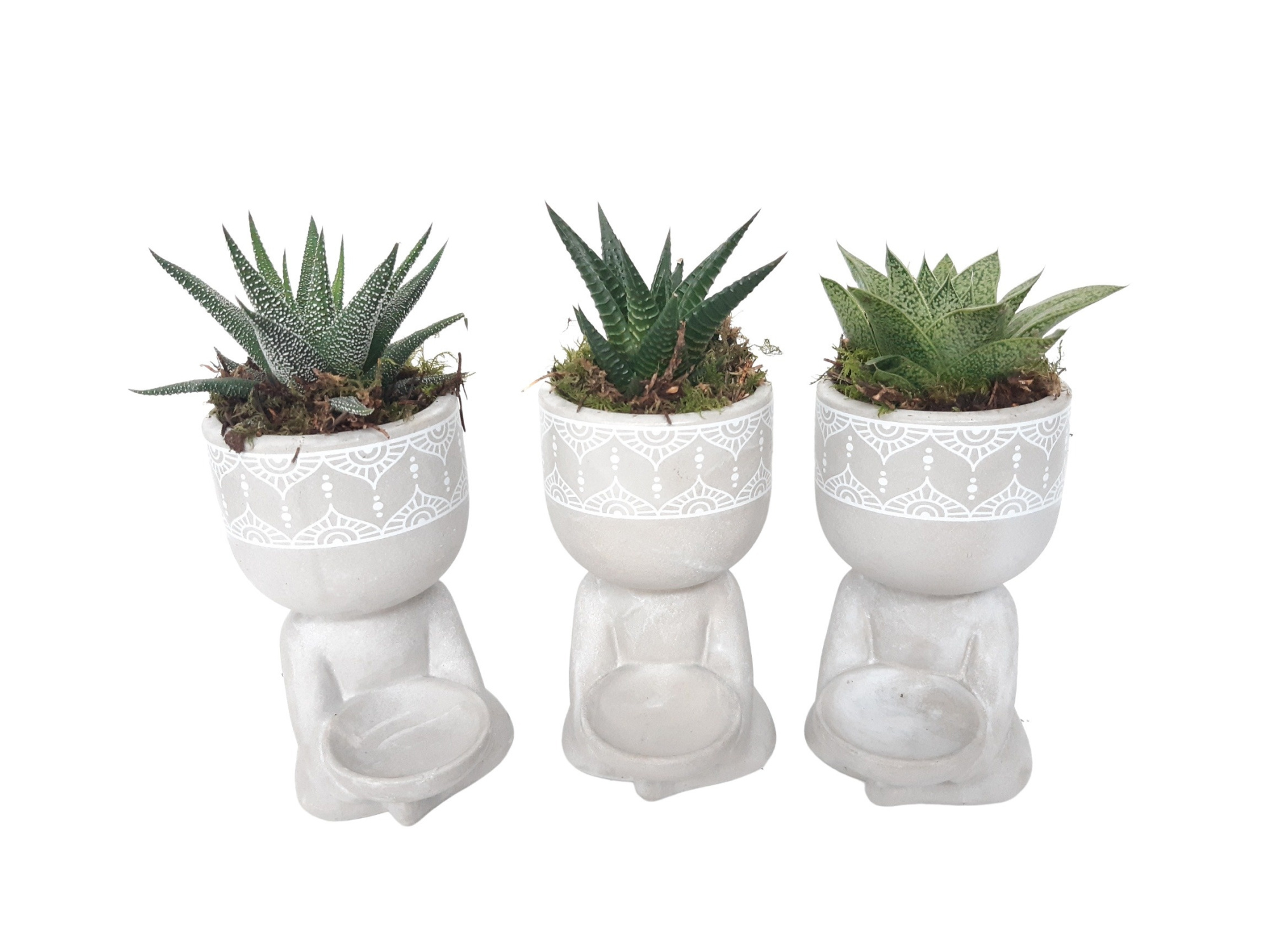 Chillings mixtray minigroenmix, D 10