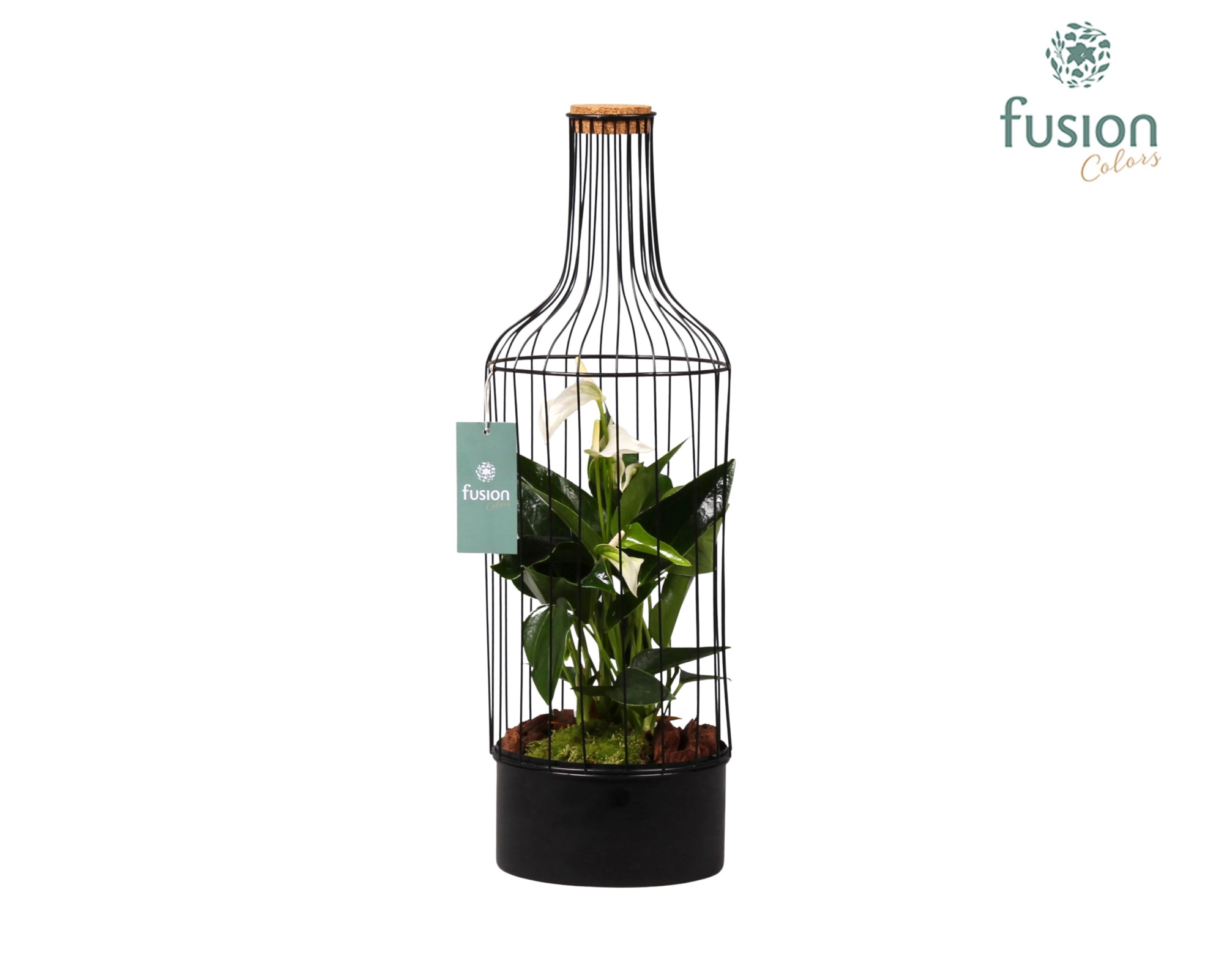 Metaal fles zwart Large met Anthurium, D 17