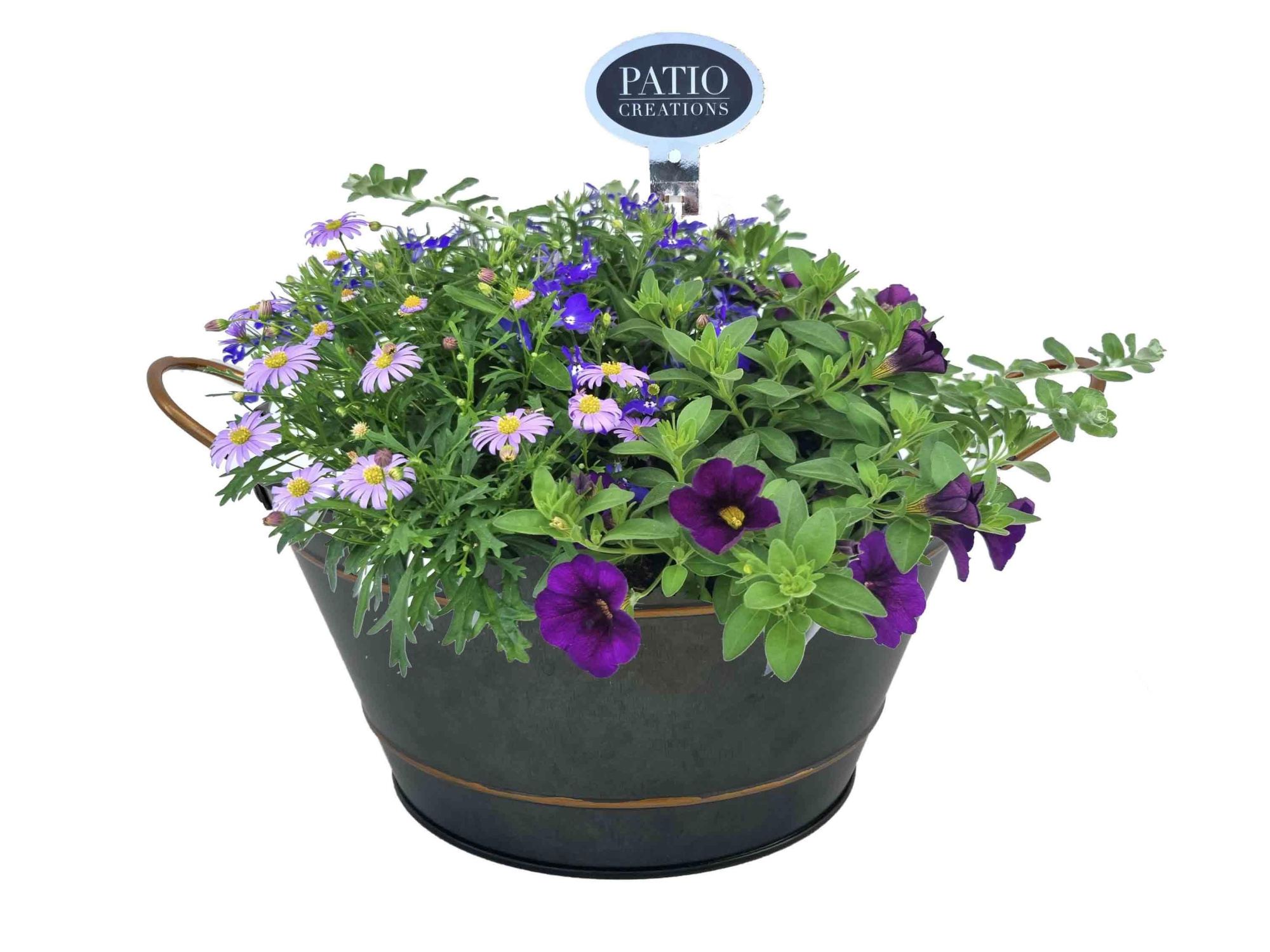 VM839-9323 Voorjaarsmix Sterre zink rond, D 22