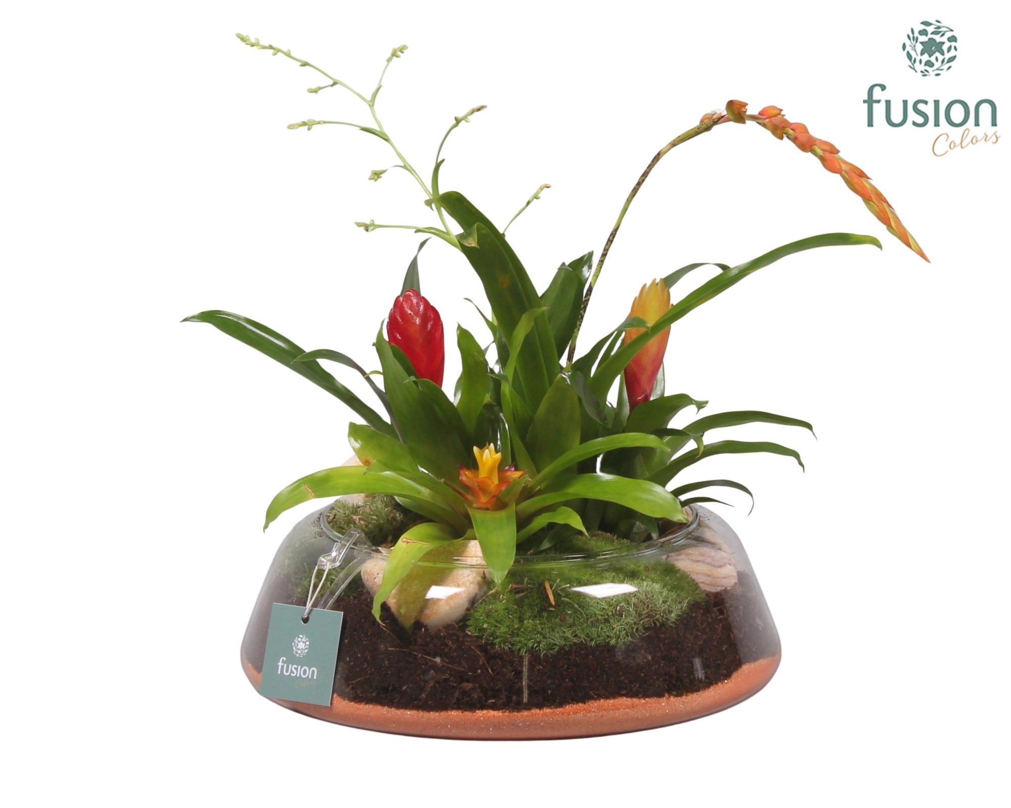 Glazen schaal rond laag groot met, D 24