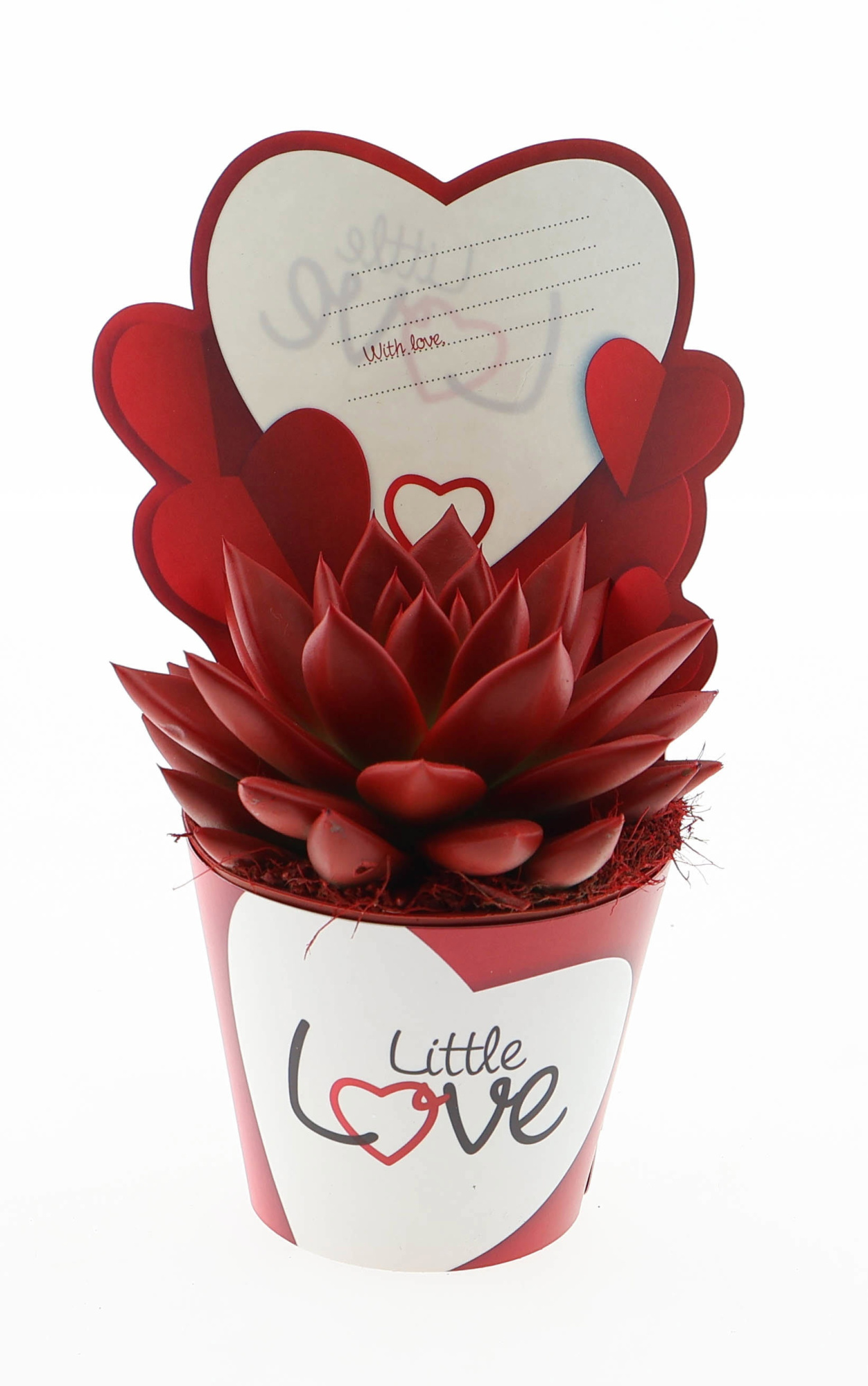 Potcover little love miranda red, D 8,5