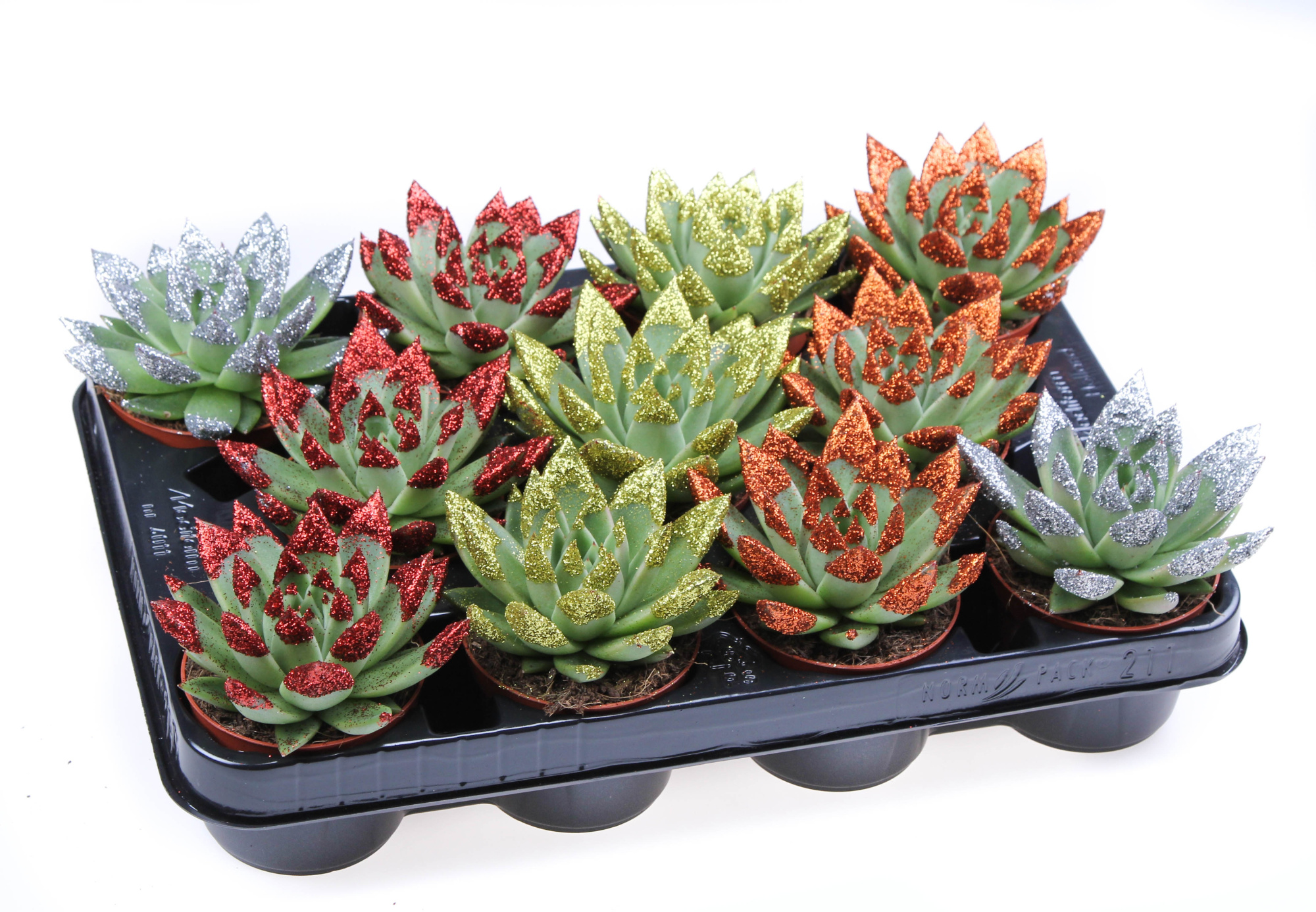 Miranda naturel + glittertips, D 8,5