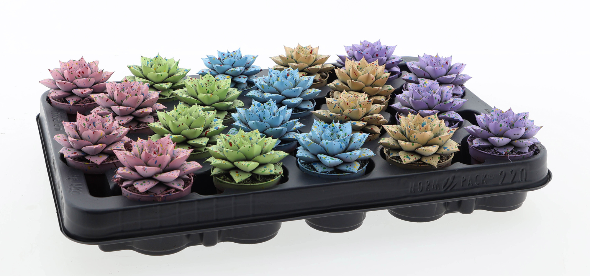 Easter purper sprinkle mix, D 5,5