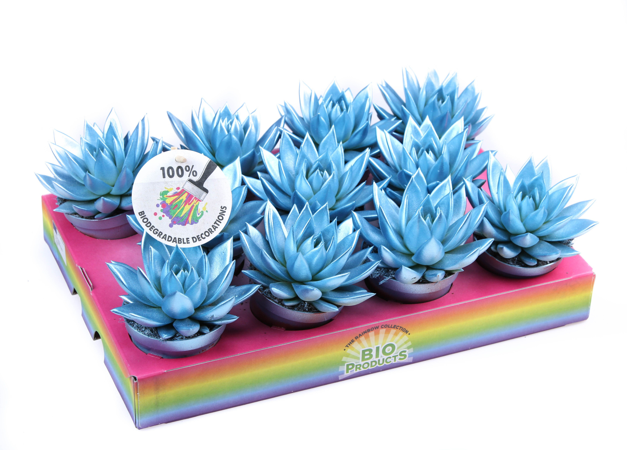 Rainbow metallic blue, D 8,5