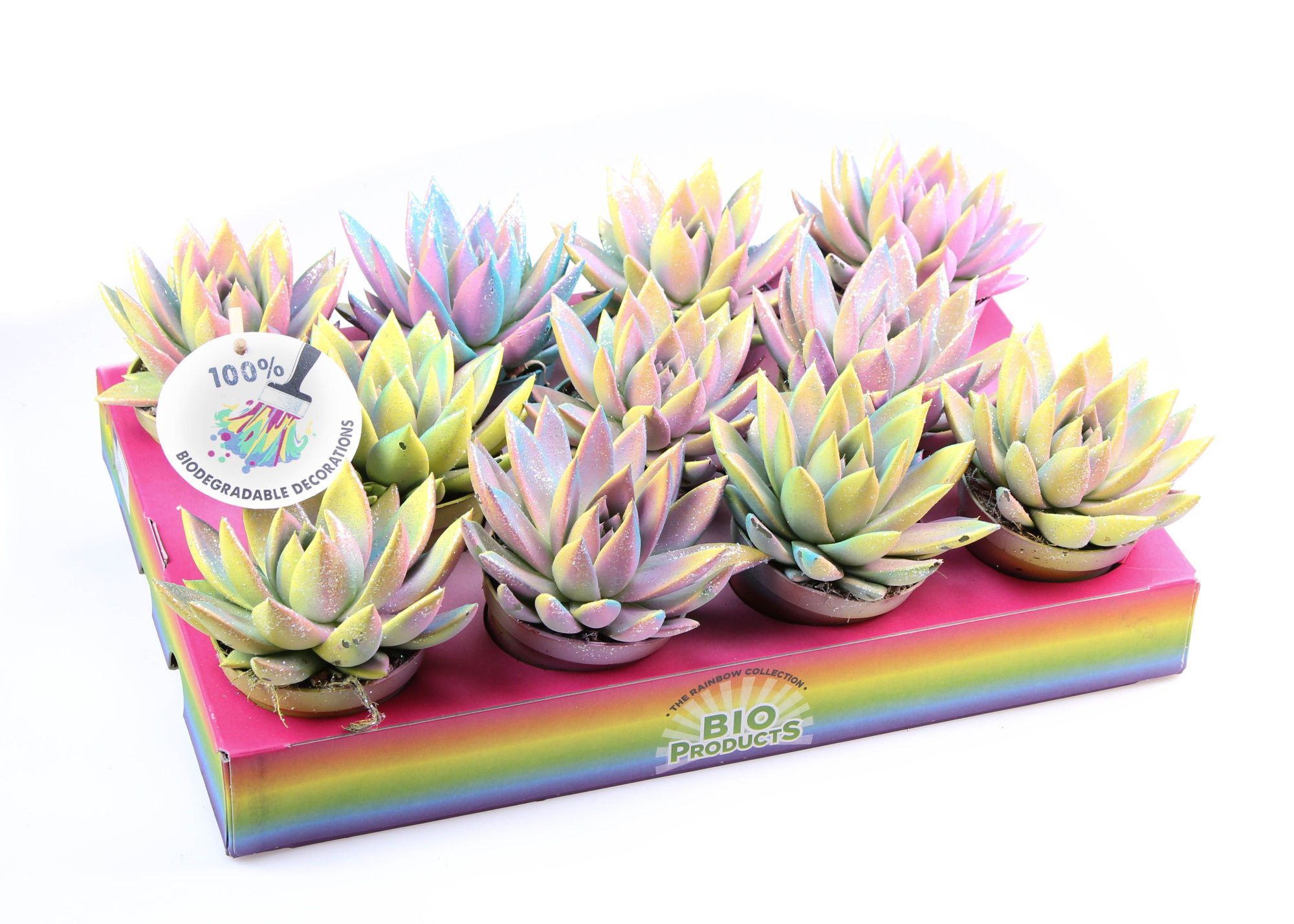 Miranda multi glitter mix, D 8,5