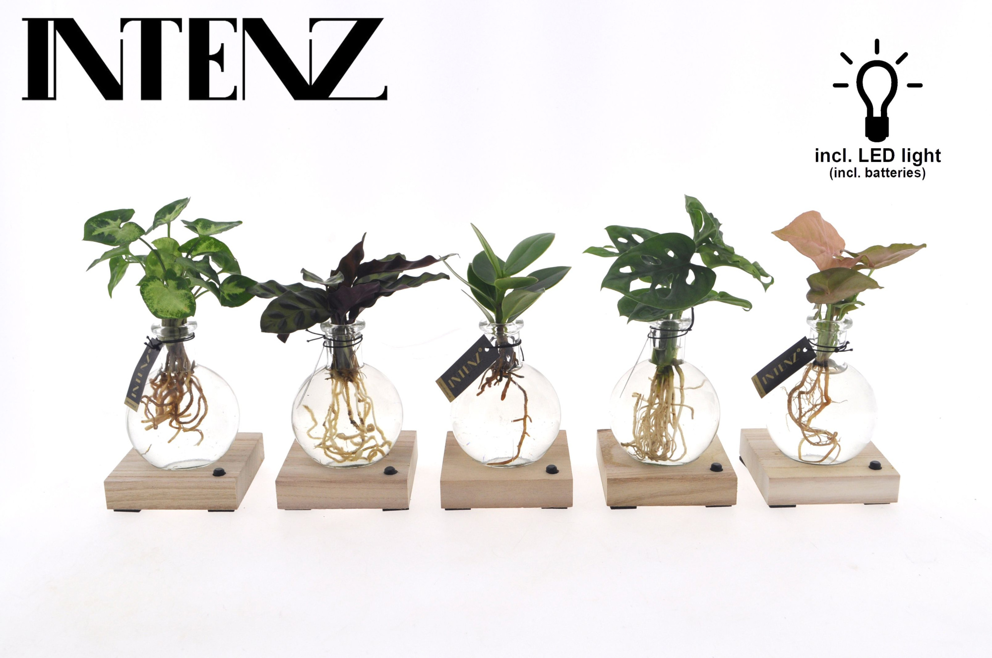 Mix in Samoa glas + LED - levertijd: 24 uur, D 7