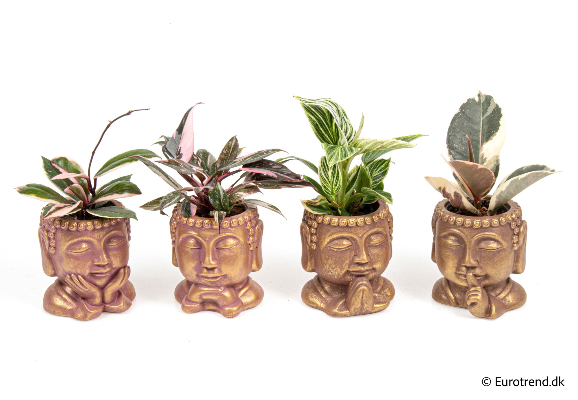 Green mix in New Look ceramic 2026, D 6