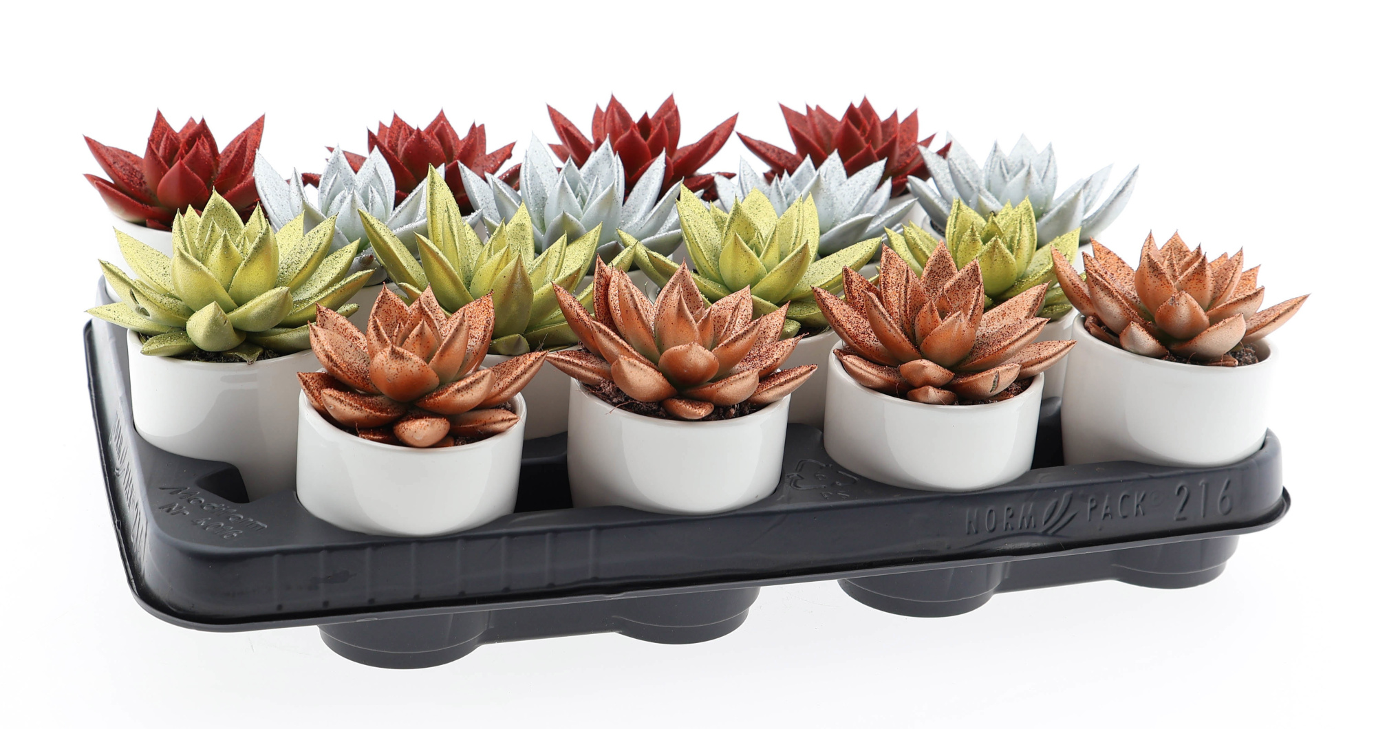 Glitter mix + witte pot, D 6