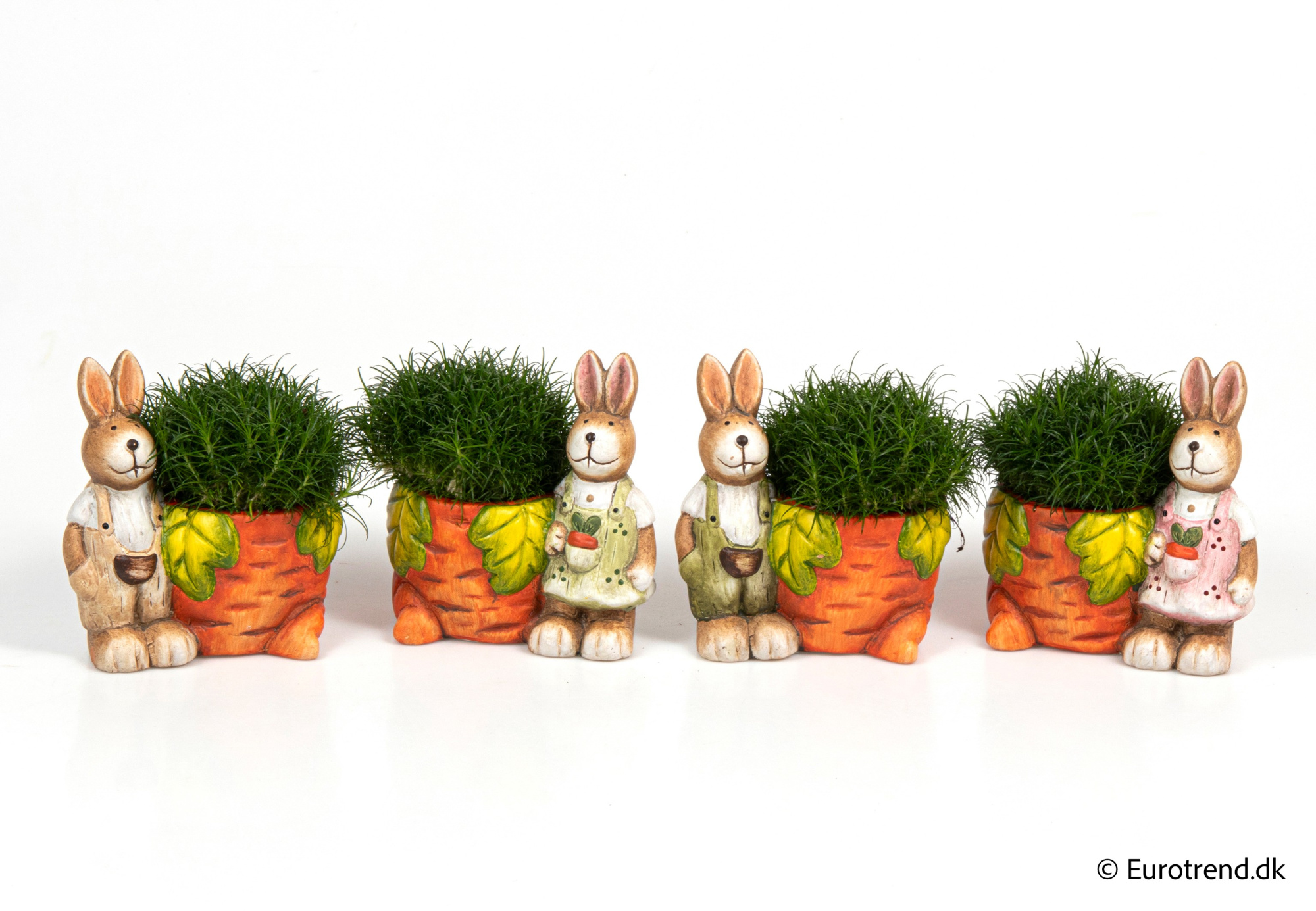 Sagina in Easter ceramic 2026, D 6