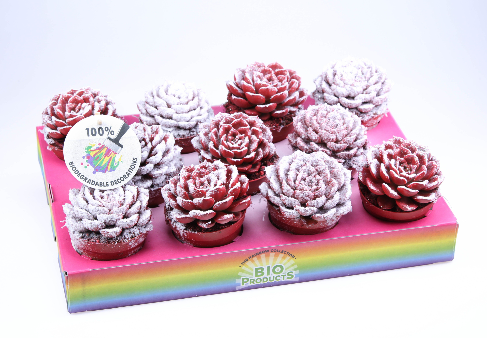 Mystery Snowy + bio snow, D 8,5