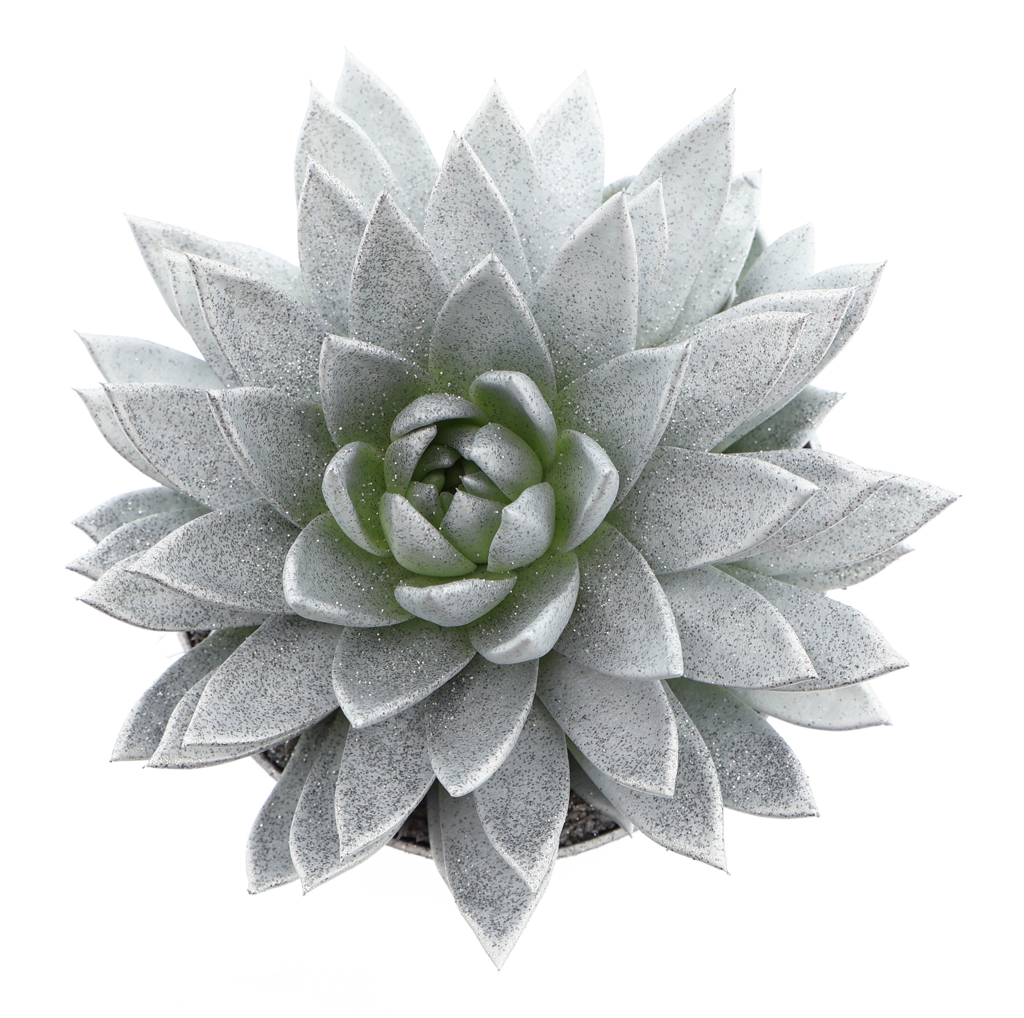 Miranda zilver + glitter, D 17