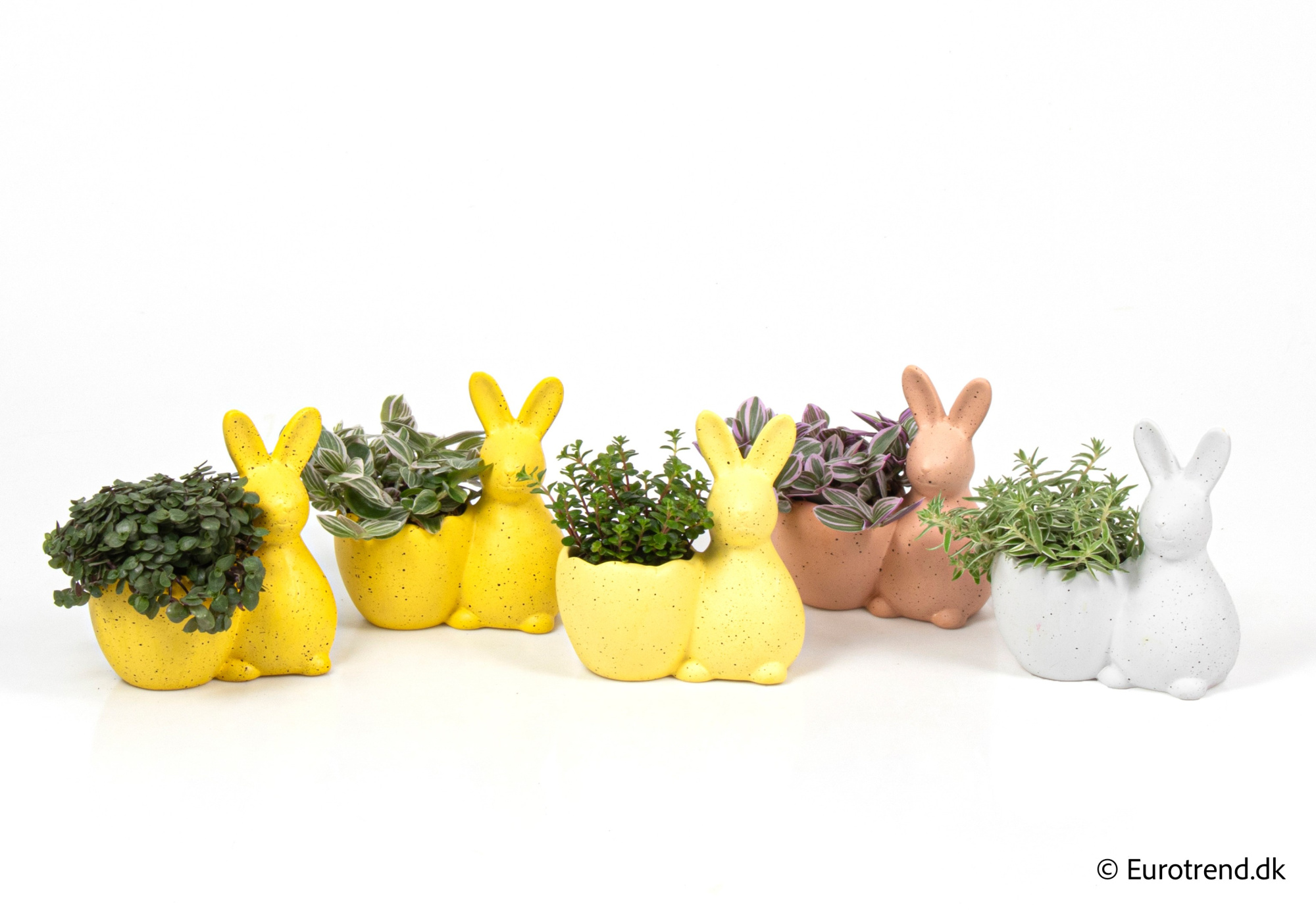 Greenmix in Easter ceramic 2026, D 6