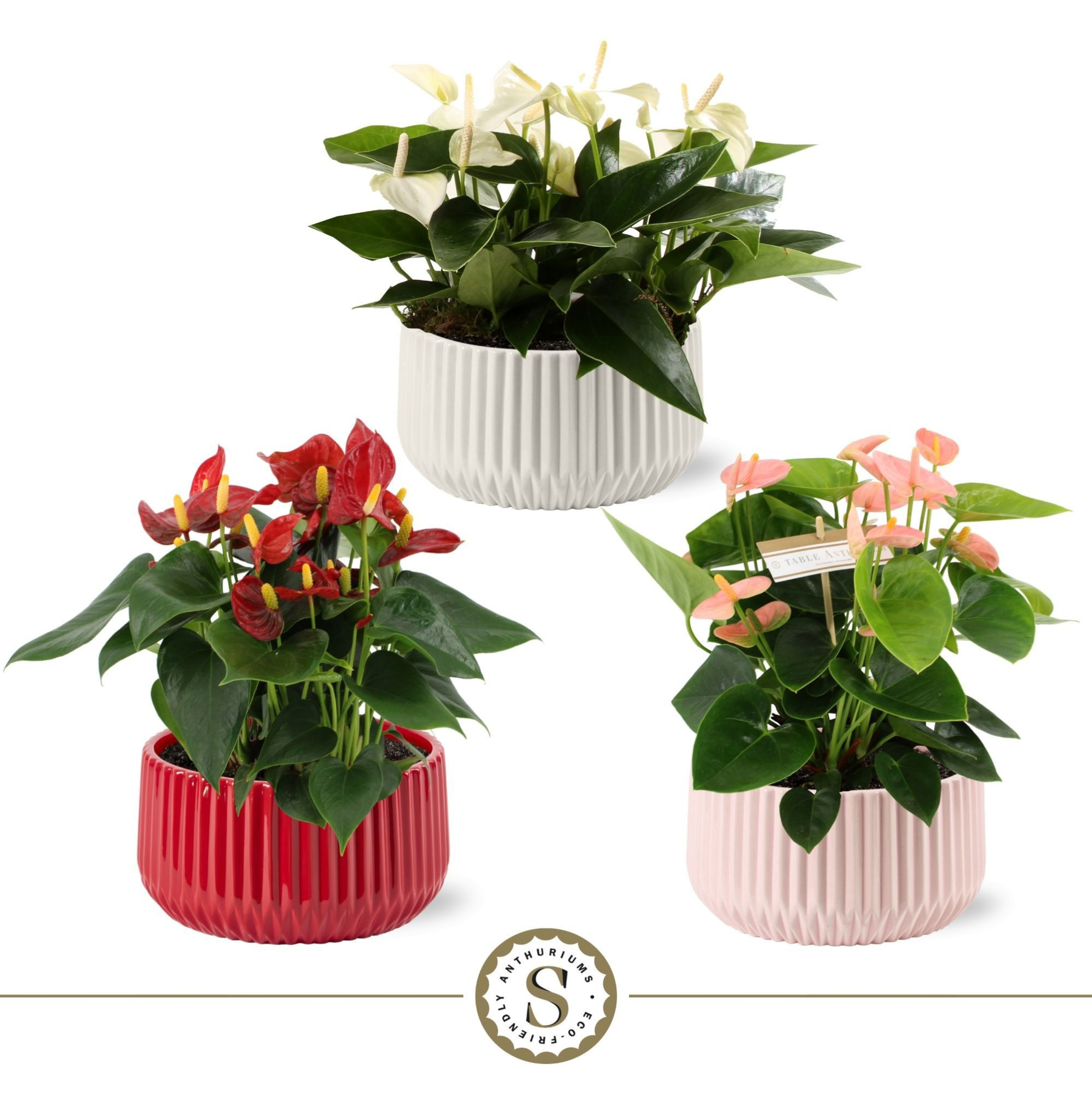 Table Mix in Madeira Keramiek, D 17