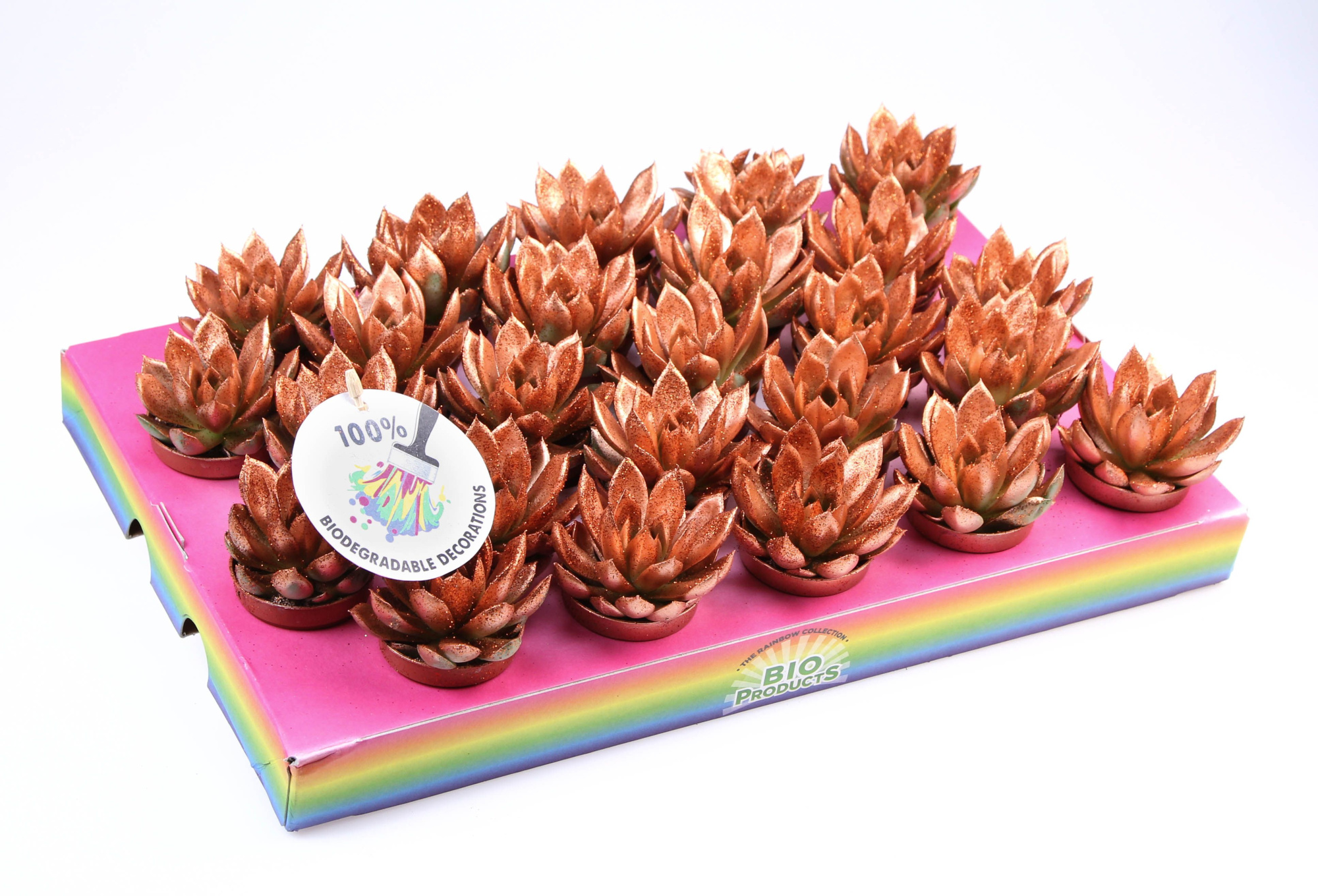 Bio miranda bronze glitter, D 5,5