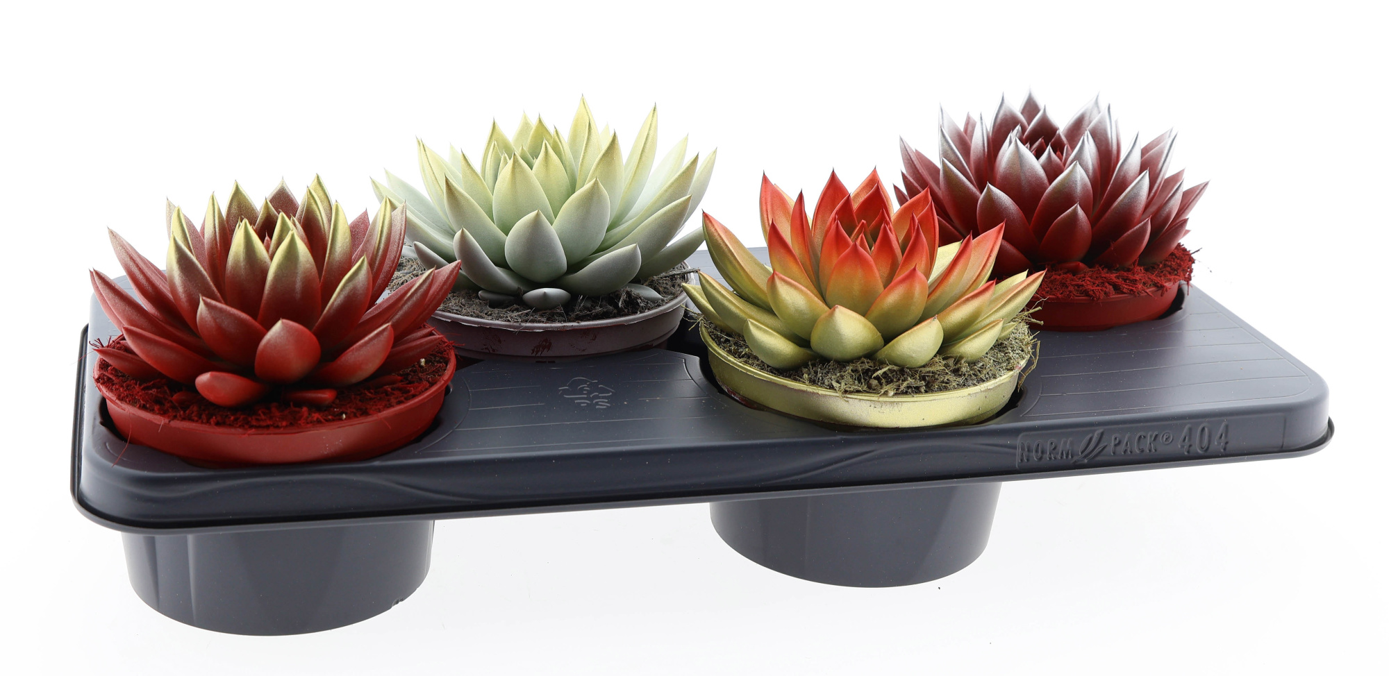 2 colors kerstmix, D 15