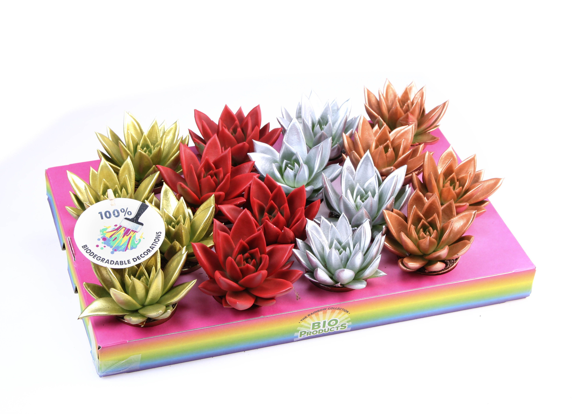 Bio miranda kerstmix, D 6