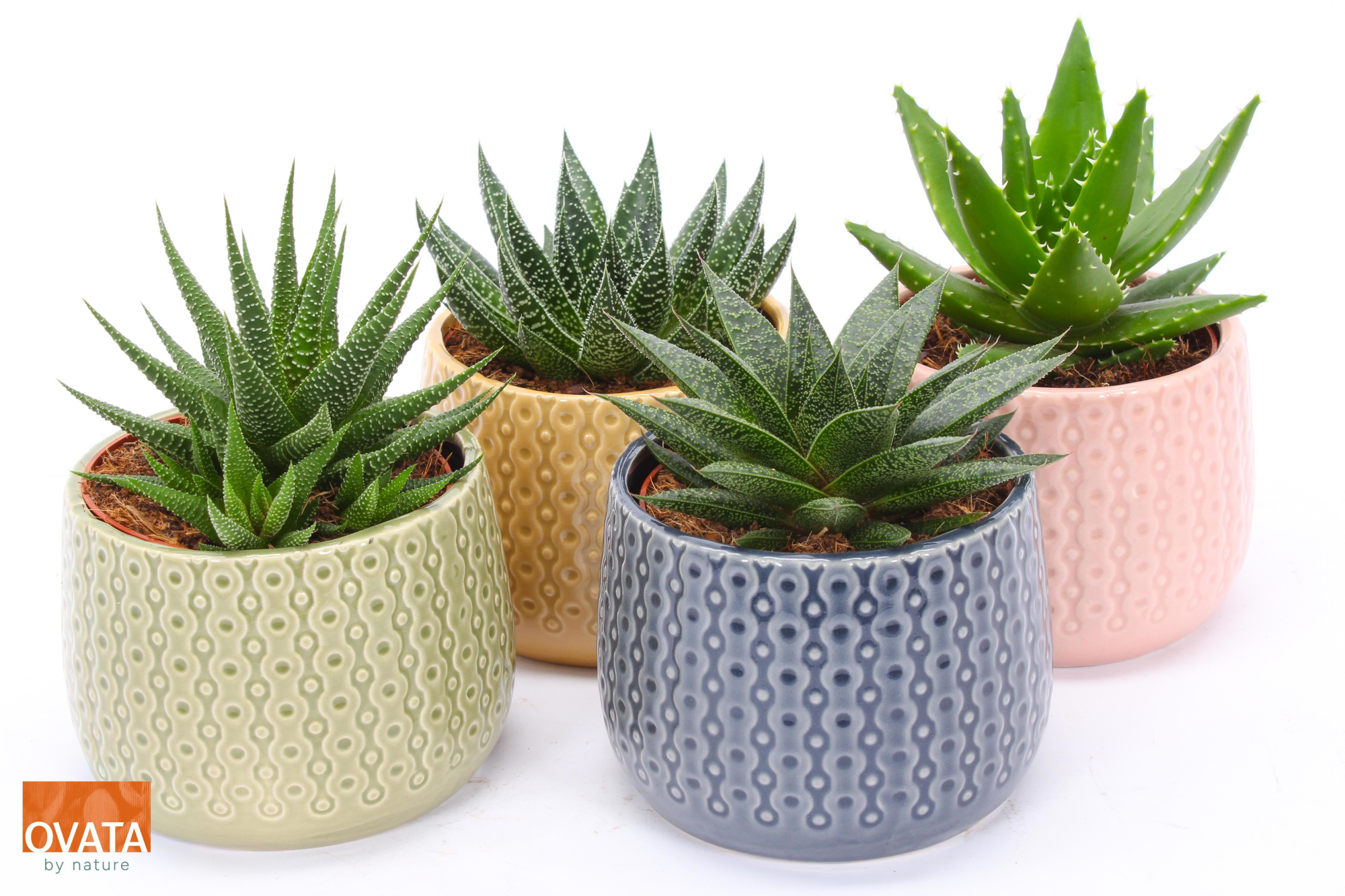 ROCKS mix in Brasil 15, D 15