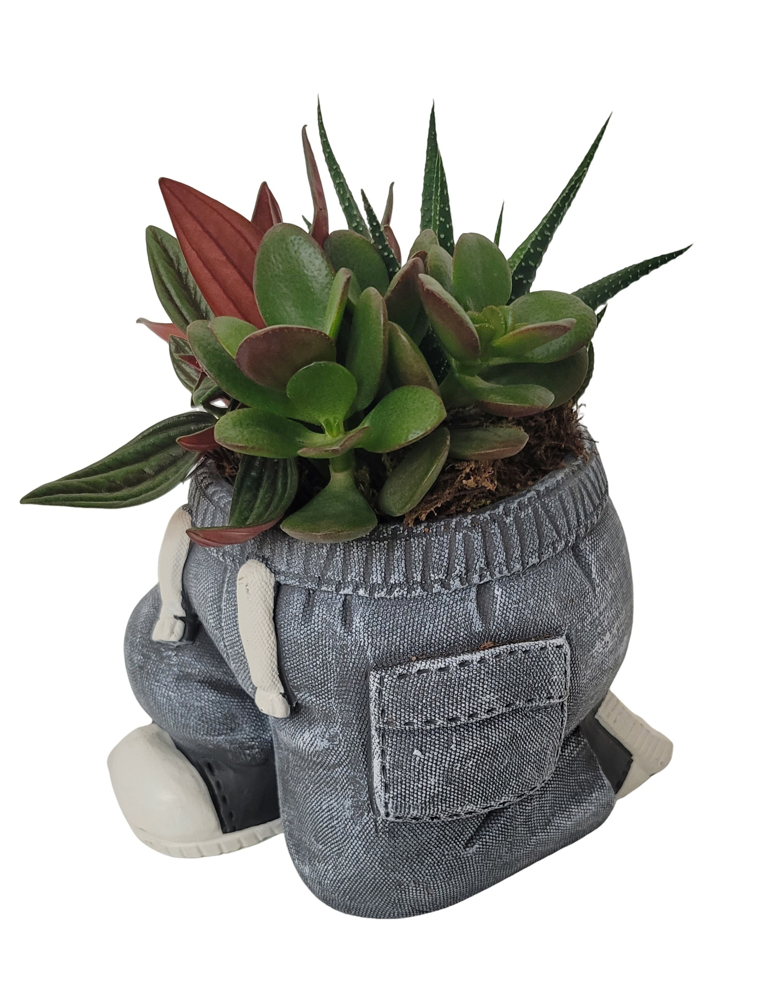 NEW 2026 JG15KNL Jeans Kneeling 15cm Grey Mini plant mix, D 15