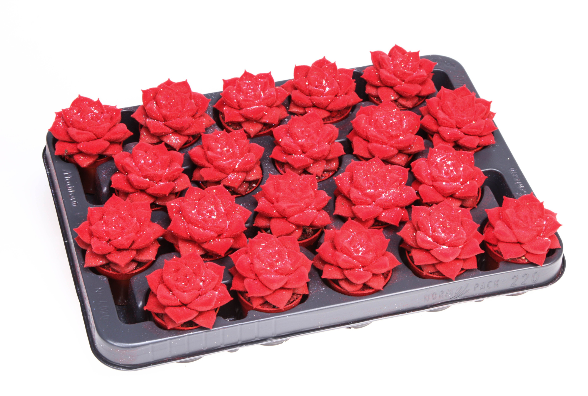 Velvet purper rood + glitter, D 5,5