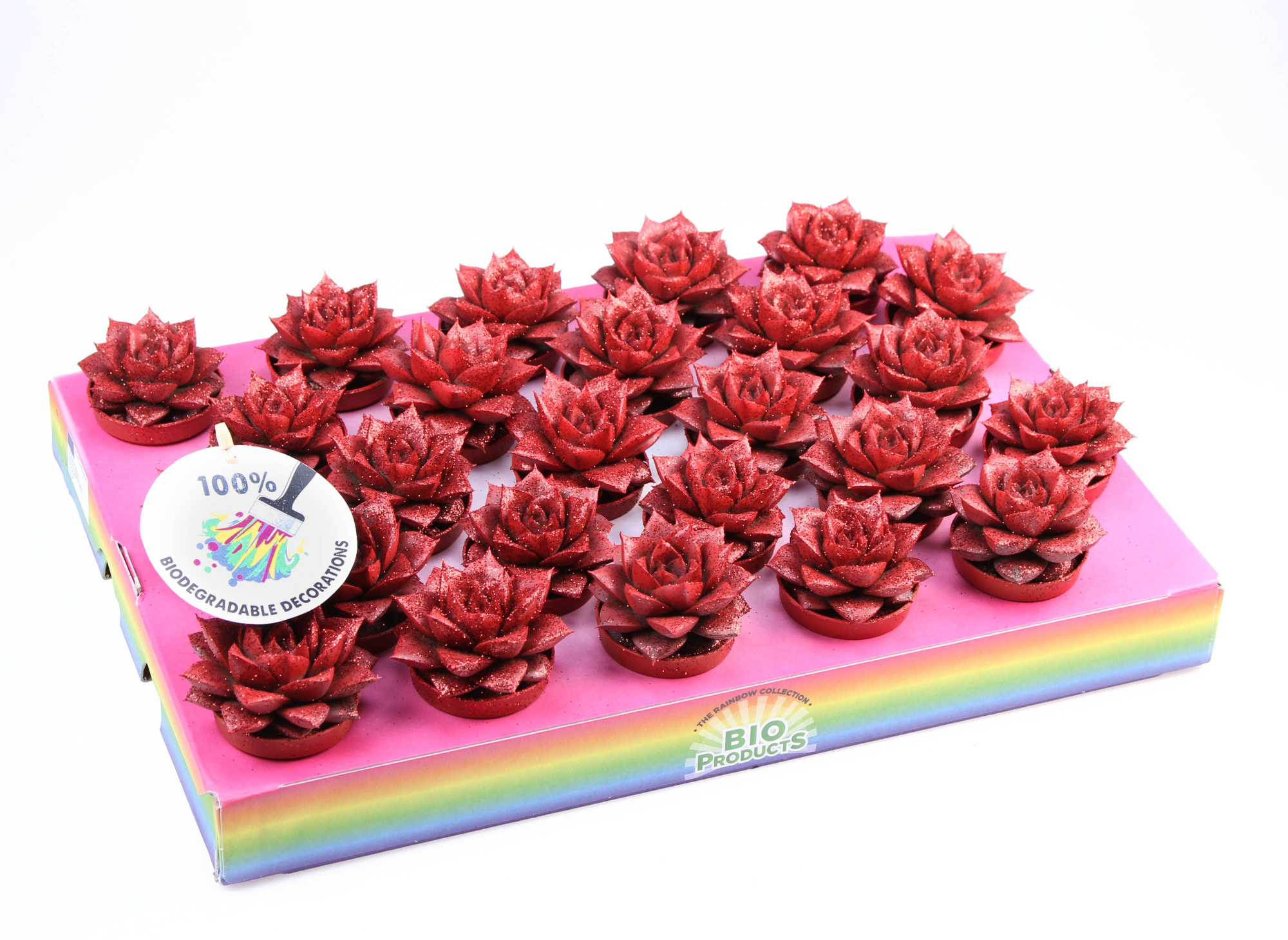 Bio purper red glitter, D 5,5