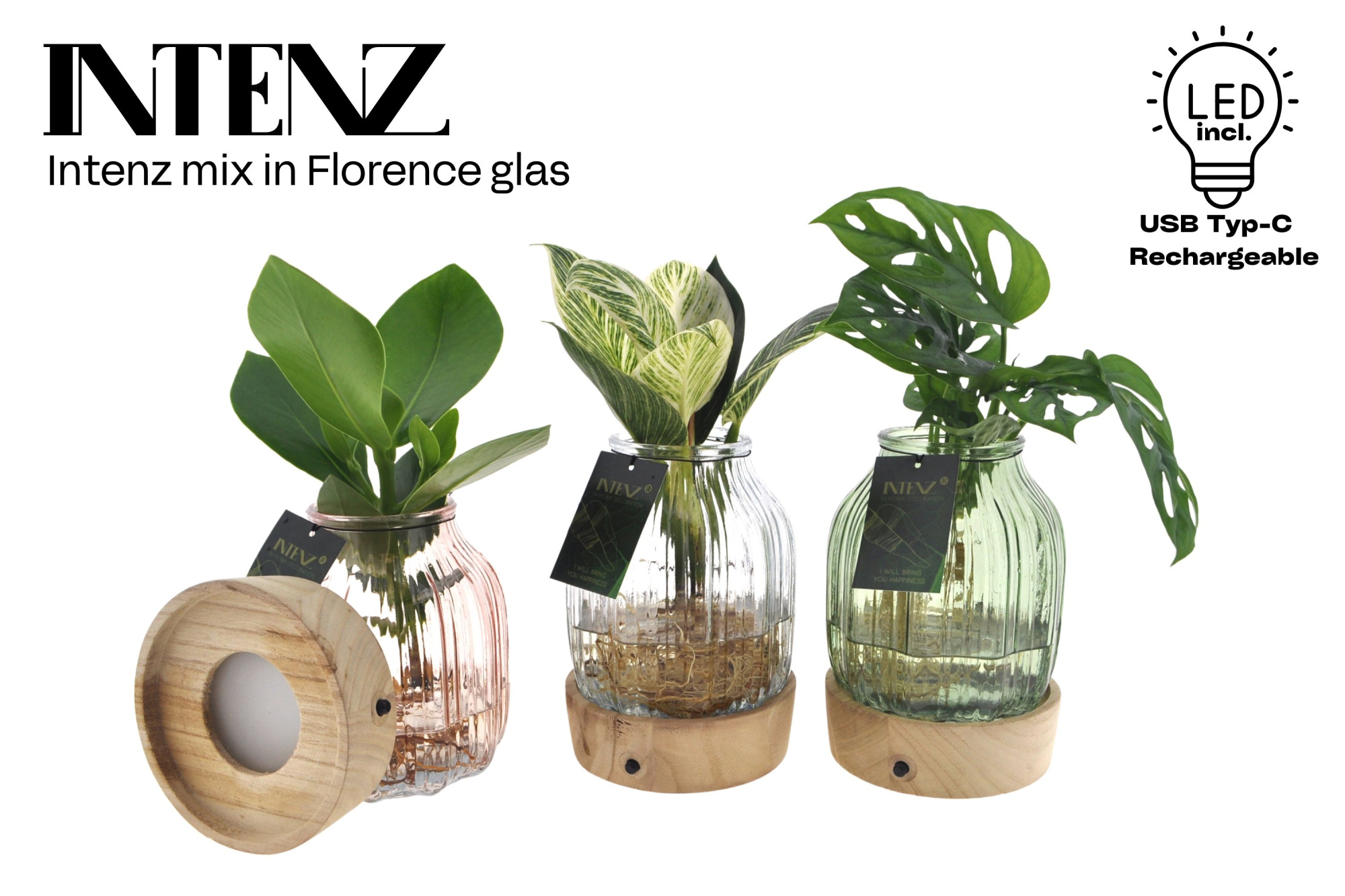 Intenz mix in Florence glas + LED - levertijd: 24 uur, D 12