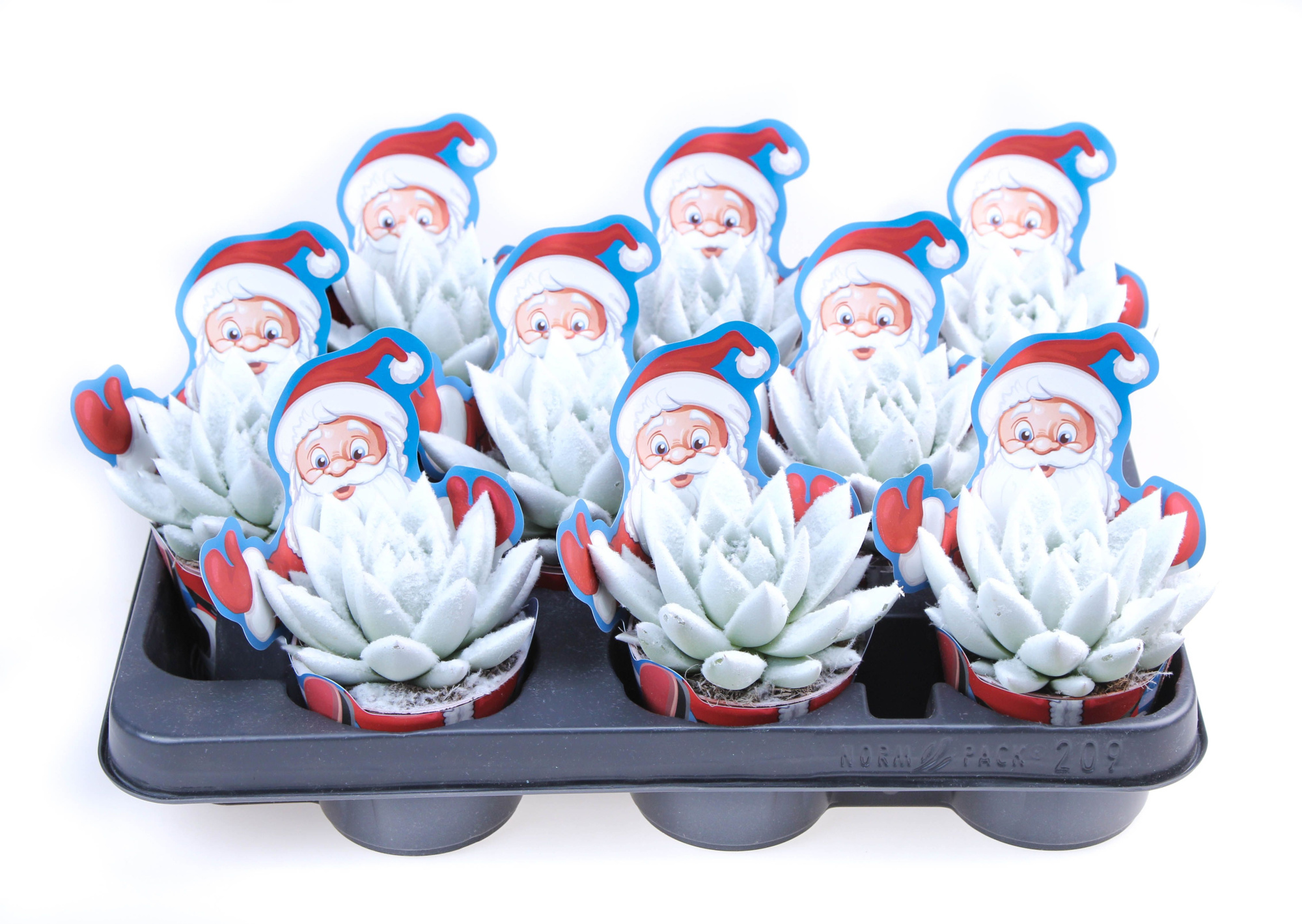 Potcover santaclaus Velvet white, D 8,5