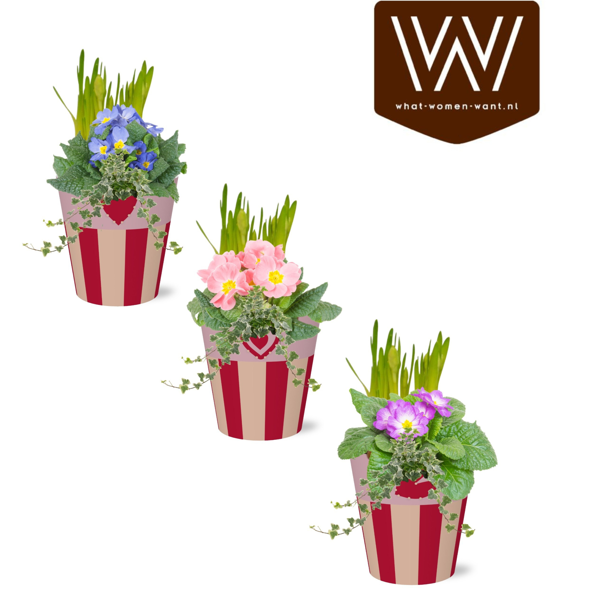 Collectie 'Sympathetic Moods' Arrangement in smartcup Romee, D 12