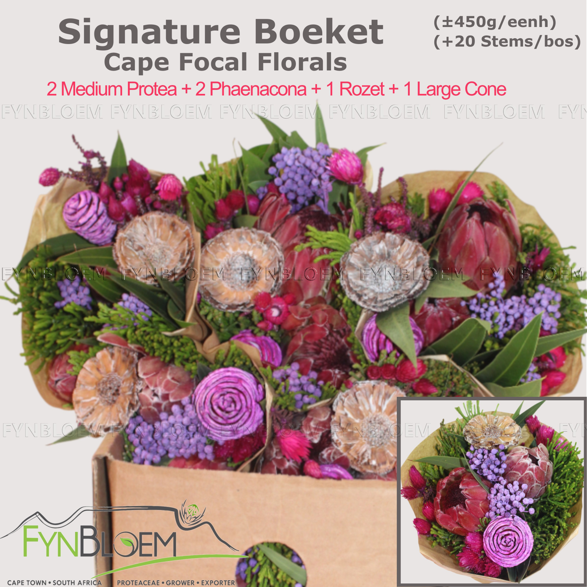 Протея Овериг за пучок 40, пуч.