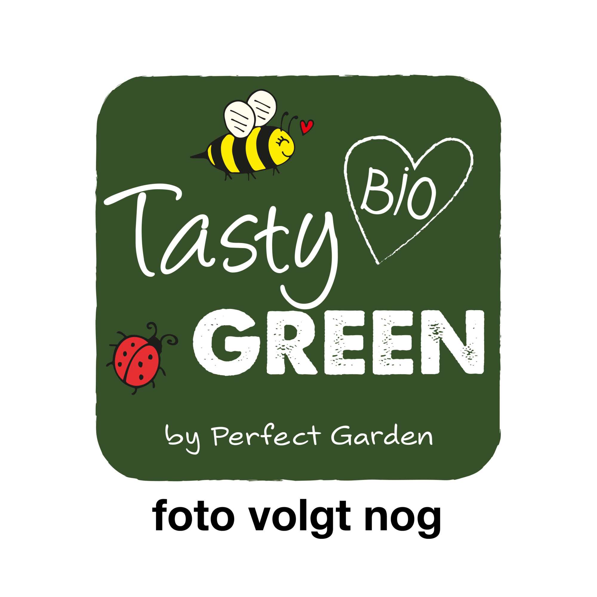 Vaccinium 'Little Blue Wonder' Bio P14, D 14