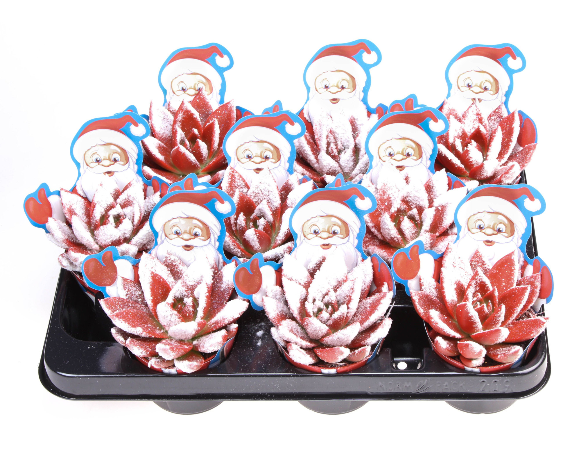 Potcover santaclaus miranda snowy + bio snow, D 8,5