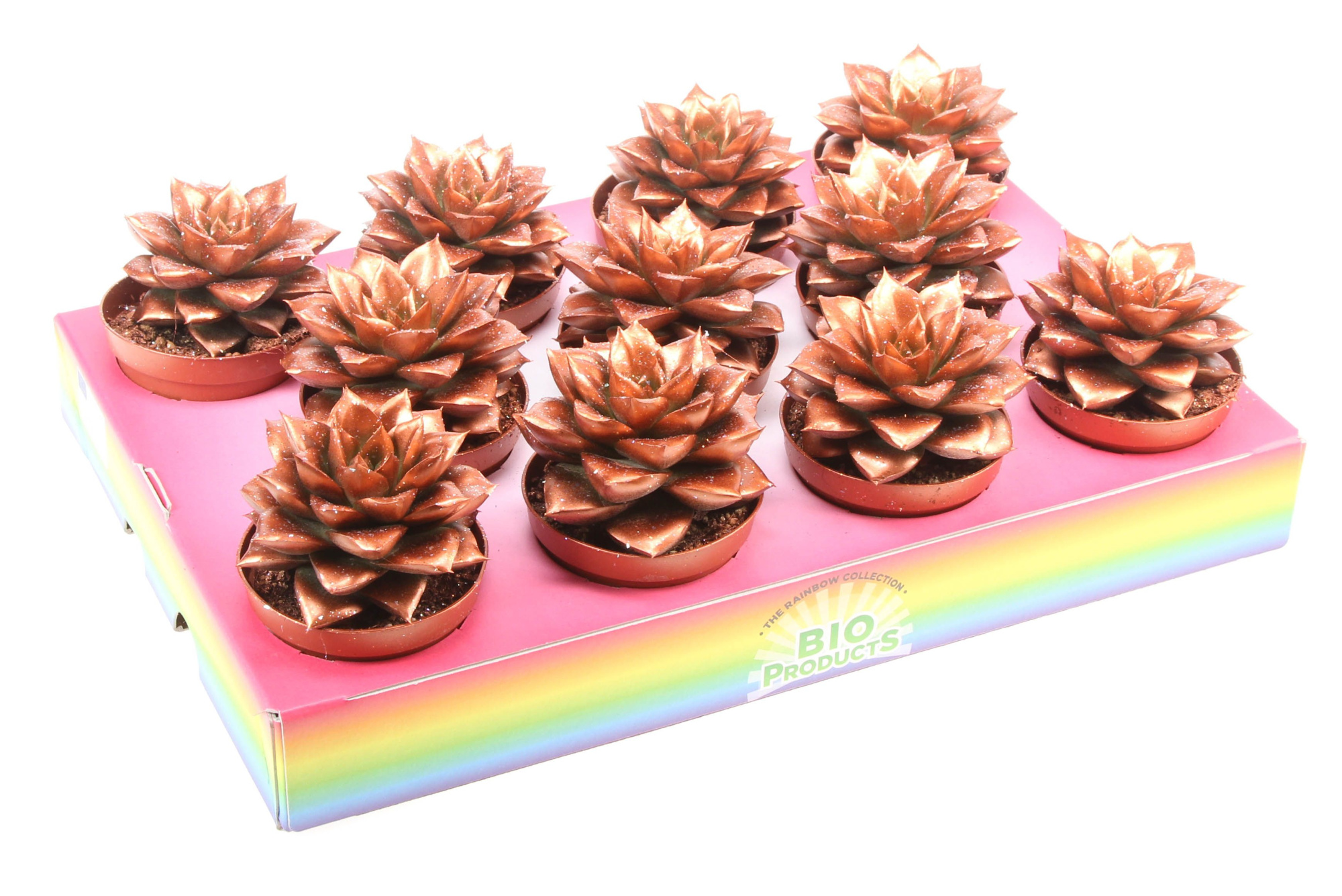 Bio purper bronze glitter, D 8,5