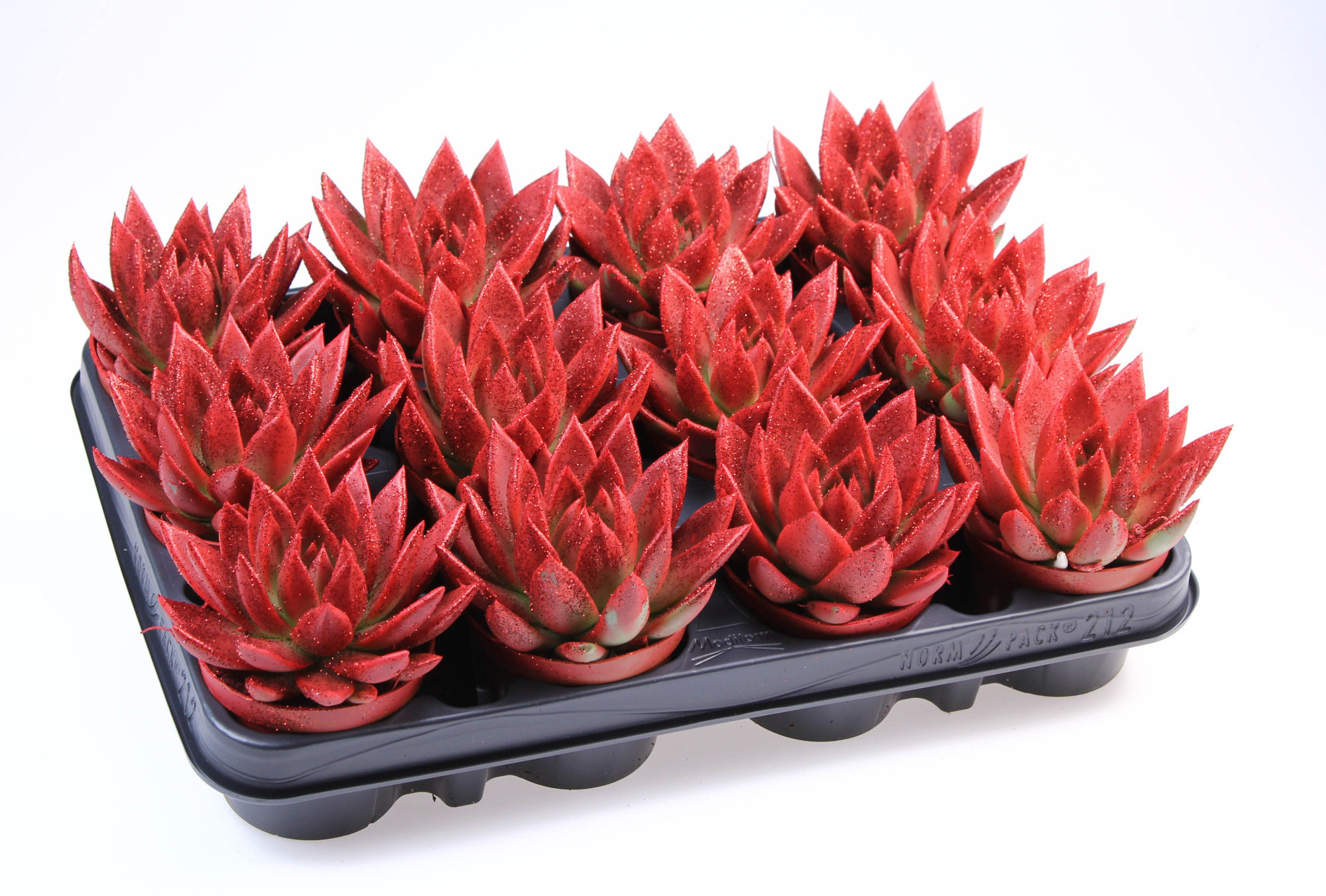 Miranda rood + bio glitter, D 8,5