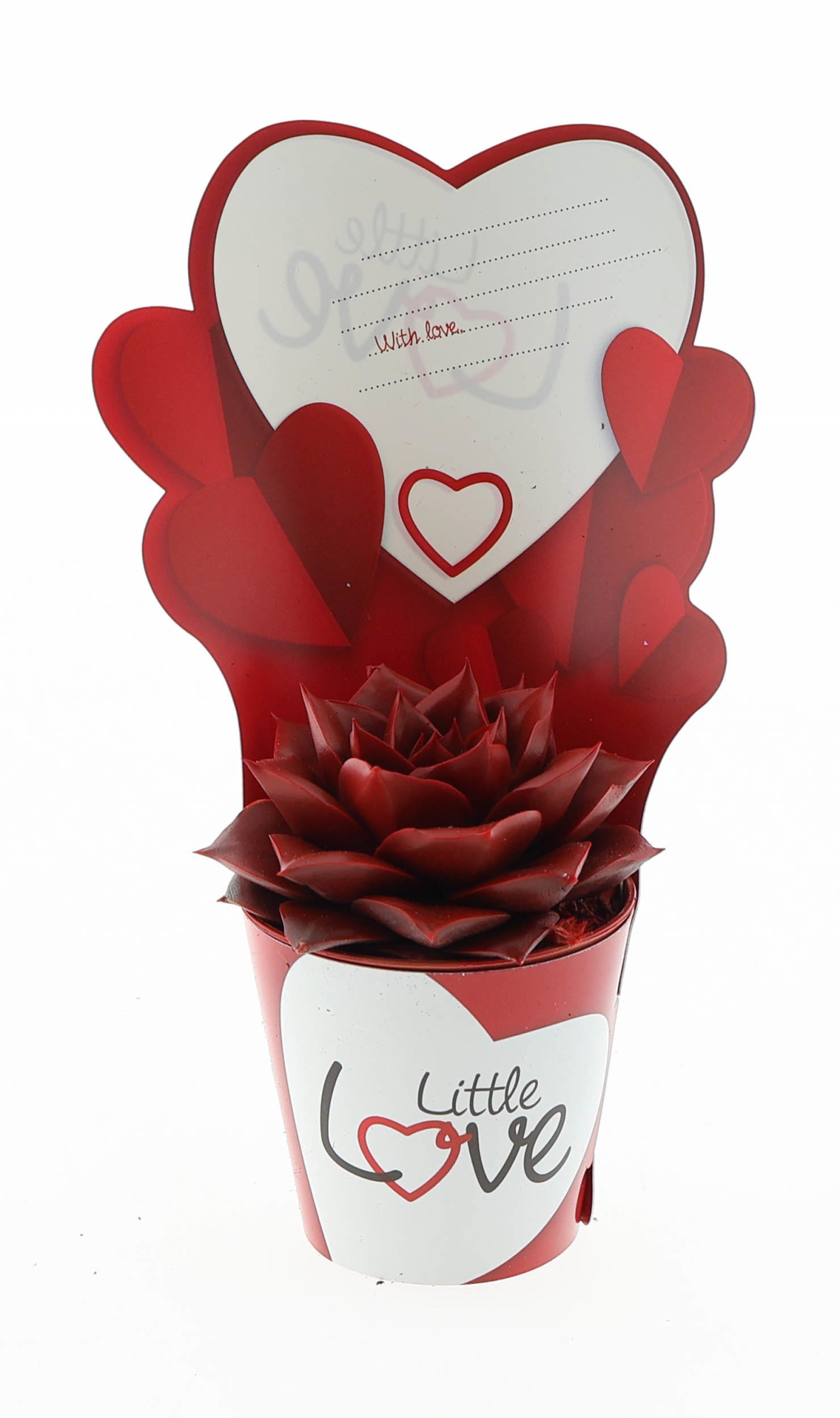 Potcover little love purper rood, D 5,5