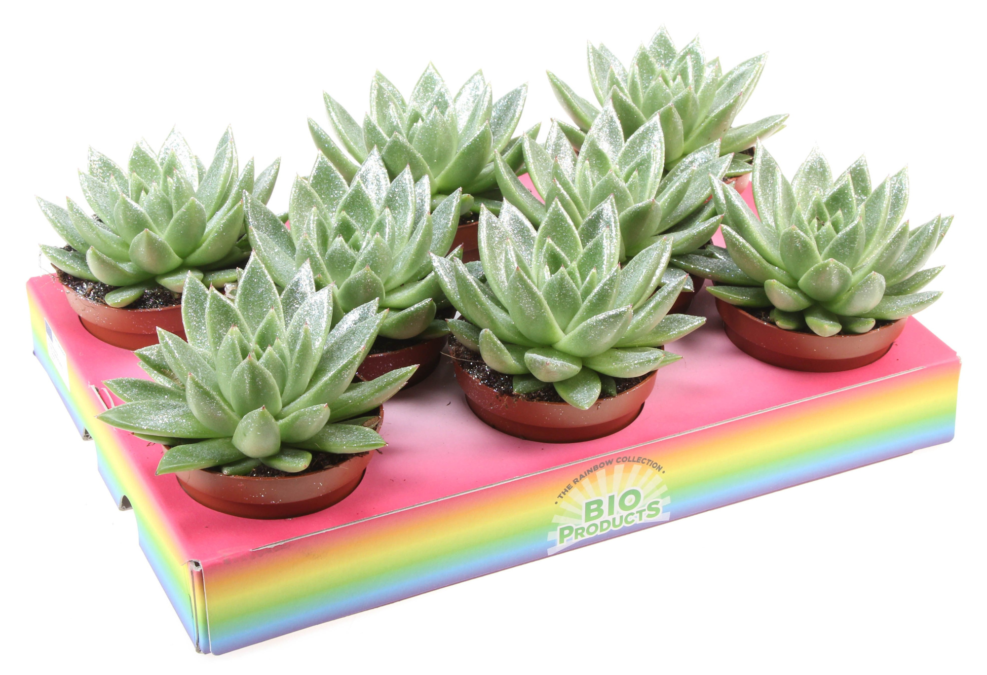 Bio miranda naturel glitter, D 10,5