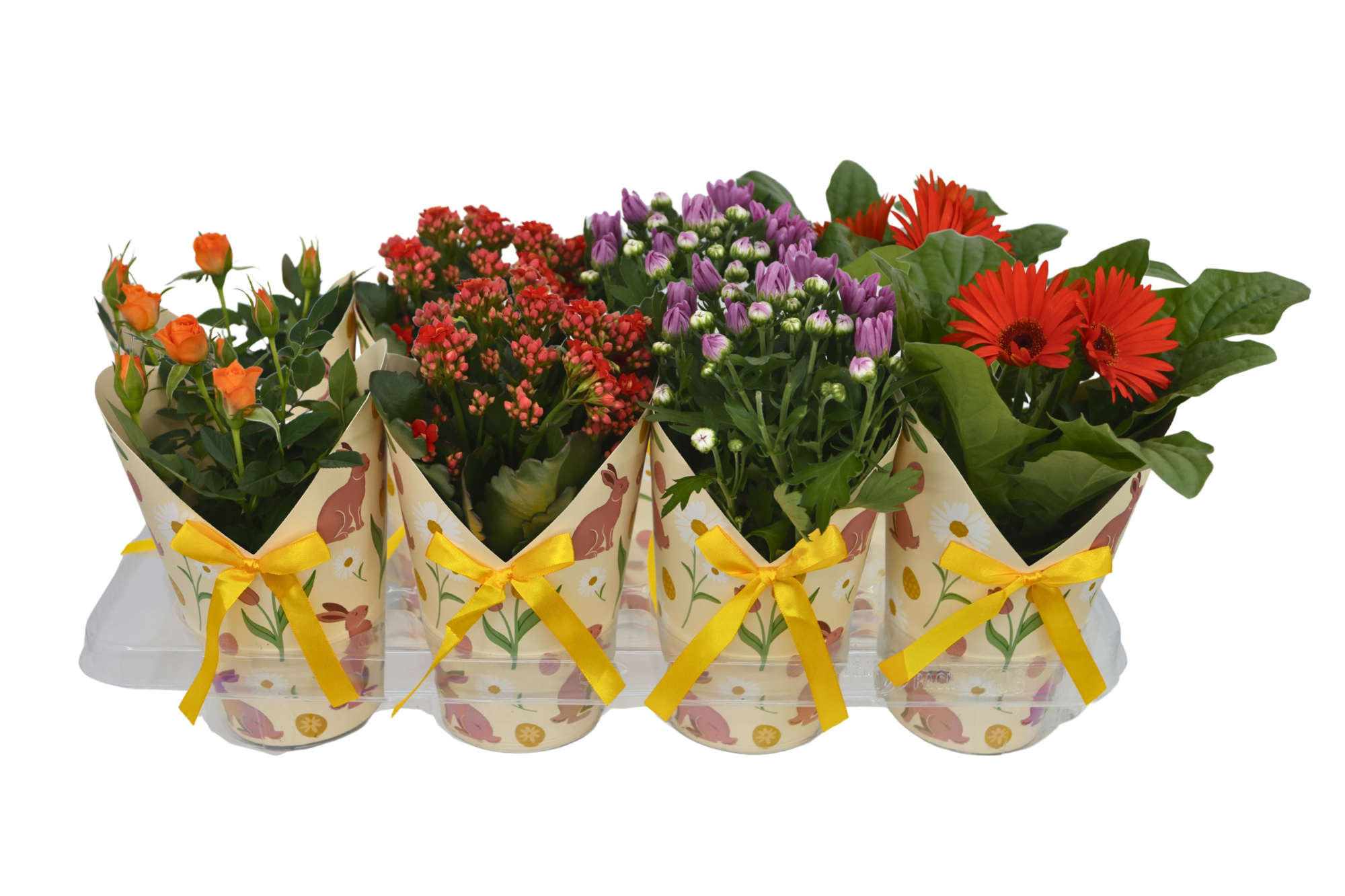 Bloeimix 12cm | Pasen | Mix | Bunny cover geel, D 12