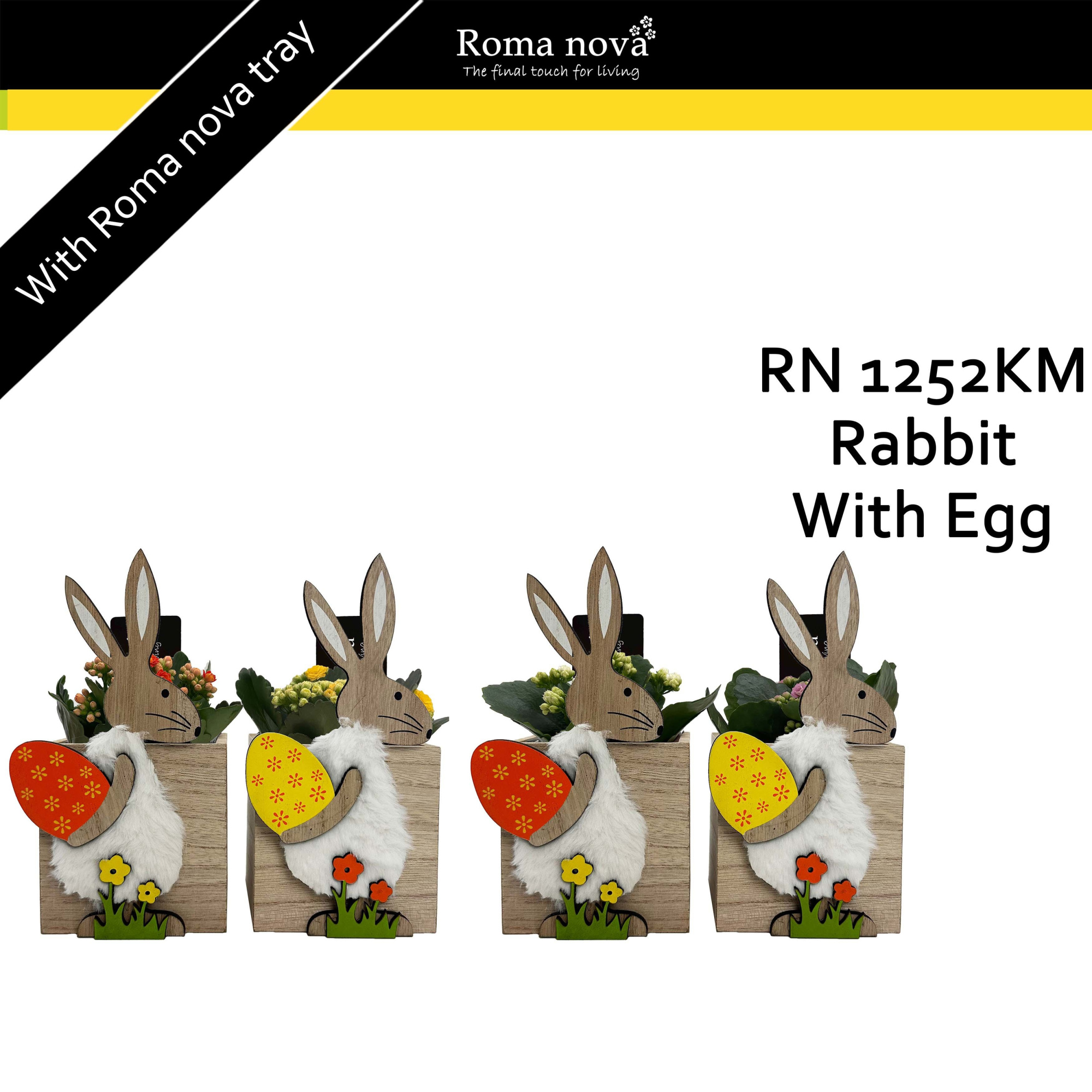 1252KM - Rabbit with Egg (Kalanchoe mix), D 11