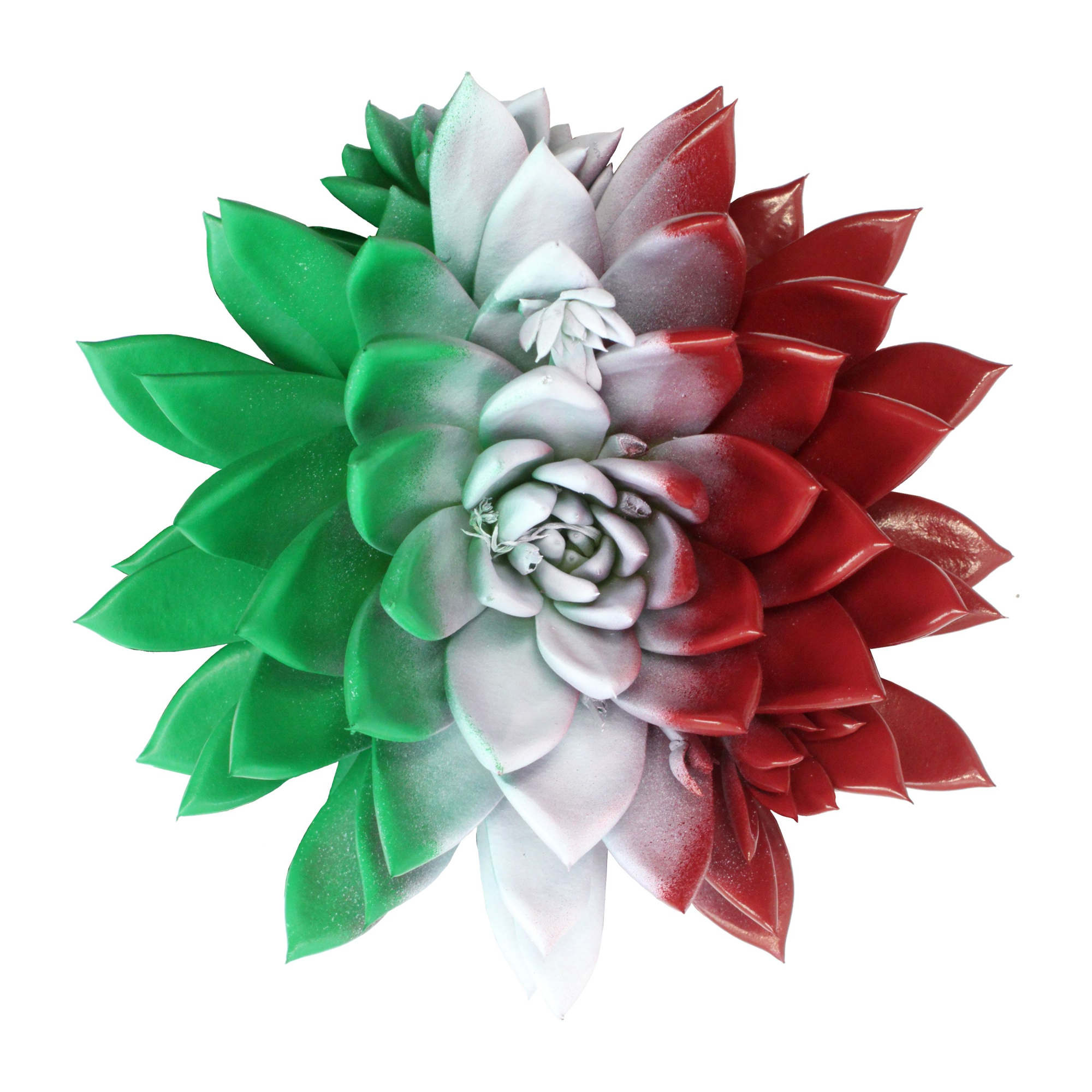 Miranda coloured flag Italy, D 10,5