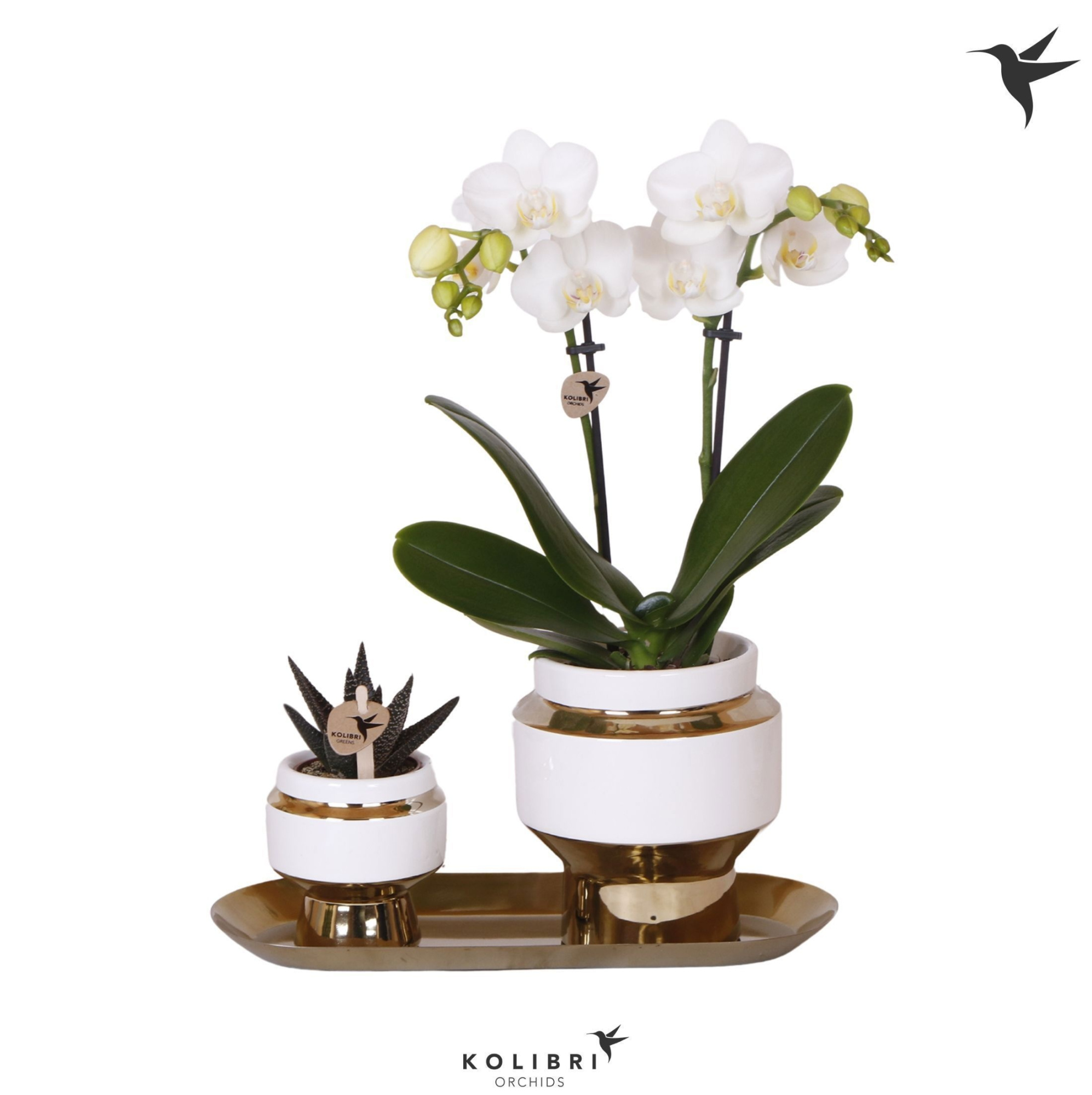Kolibri Gift Set small Le Chic gold, D 18