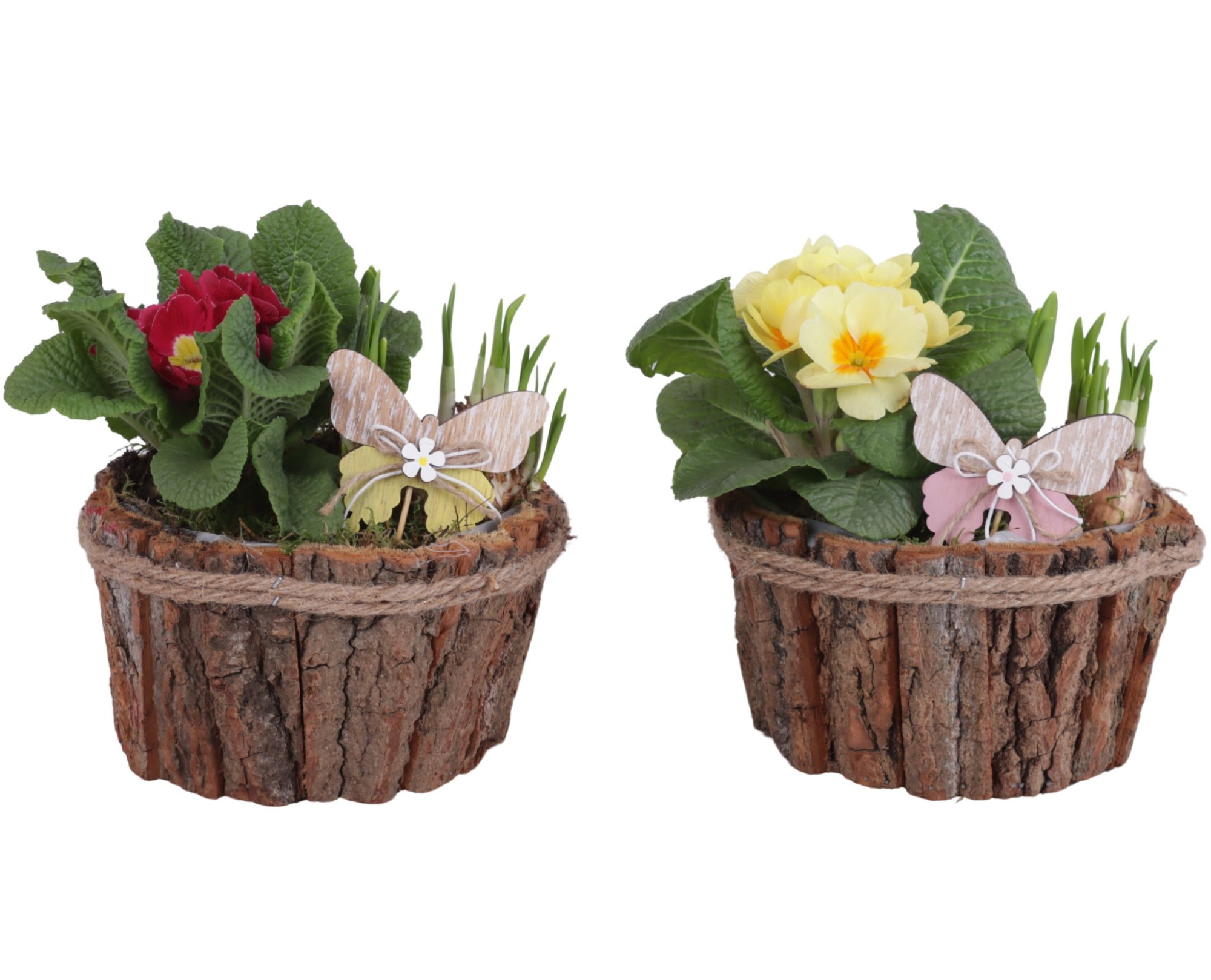 Early Spring Arr. Outdoor Wooden Bark Pot with Rope Ø17cm 2PP, D 17