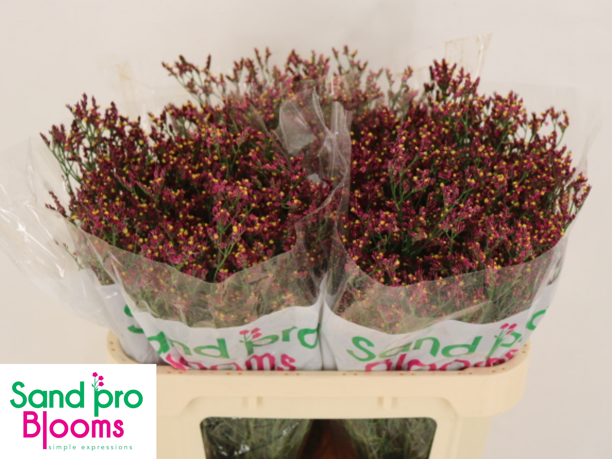 Лимониум Скарлет Даймонд 70, шт.